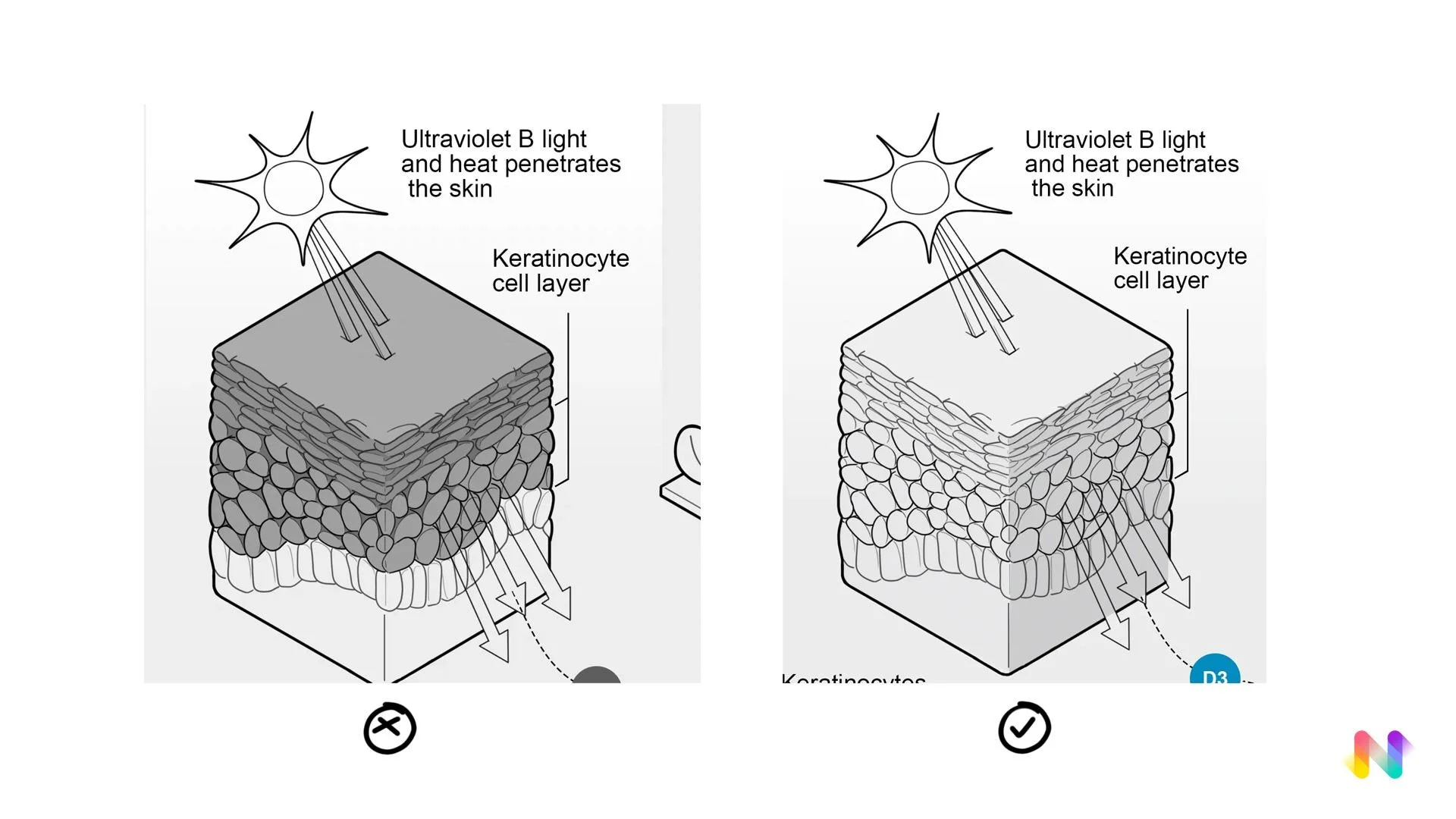 Color value drawing tip for medical illustration by now medical studios