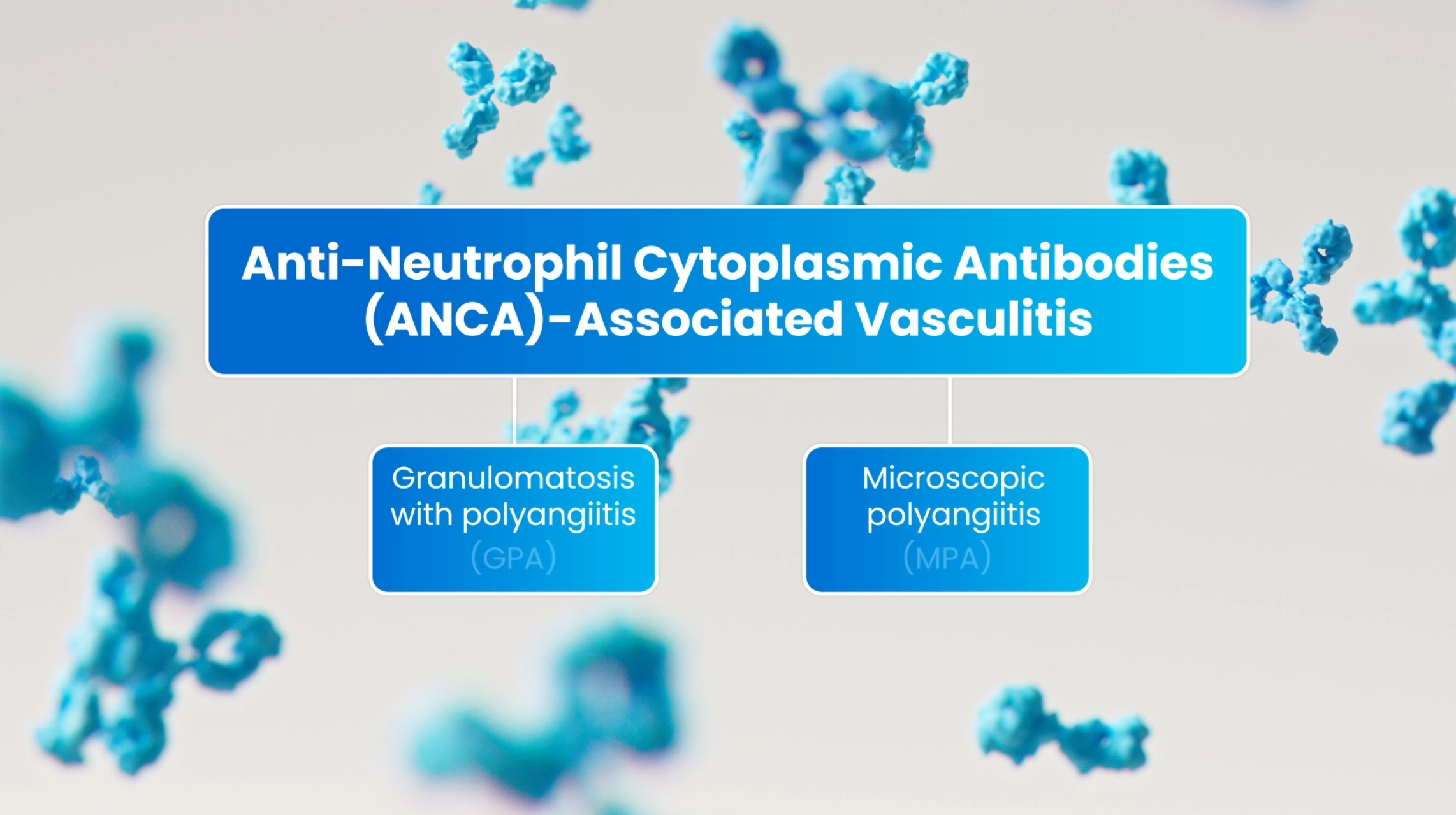 3D medical animation. Diagram of anti-neutrophil cytoplasmic antibodies (ANCA) associated vasculitis, showing two types of vasculitis: granulomatosis with polyangiitis (GPA) and microscopic polyangiitis (MPA). Now Medical Studios