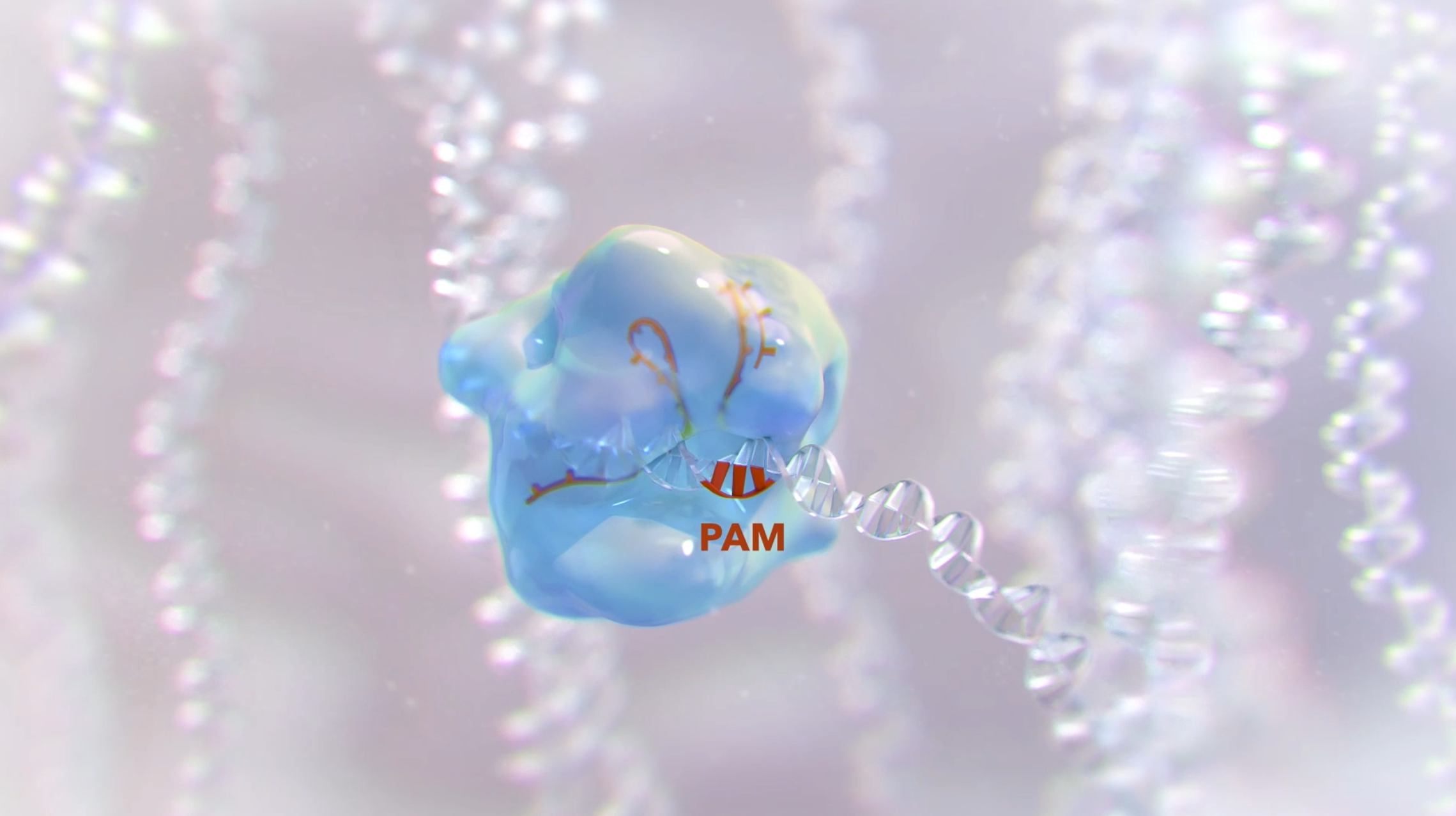 3d medical animation visualization of a cell with a label 'PAM' interacting with a DNA strand, set against a background of coiled DNA.  Now Medical Studios