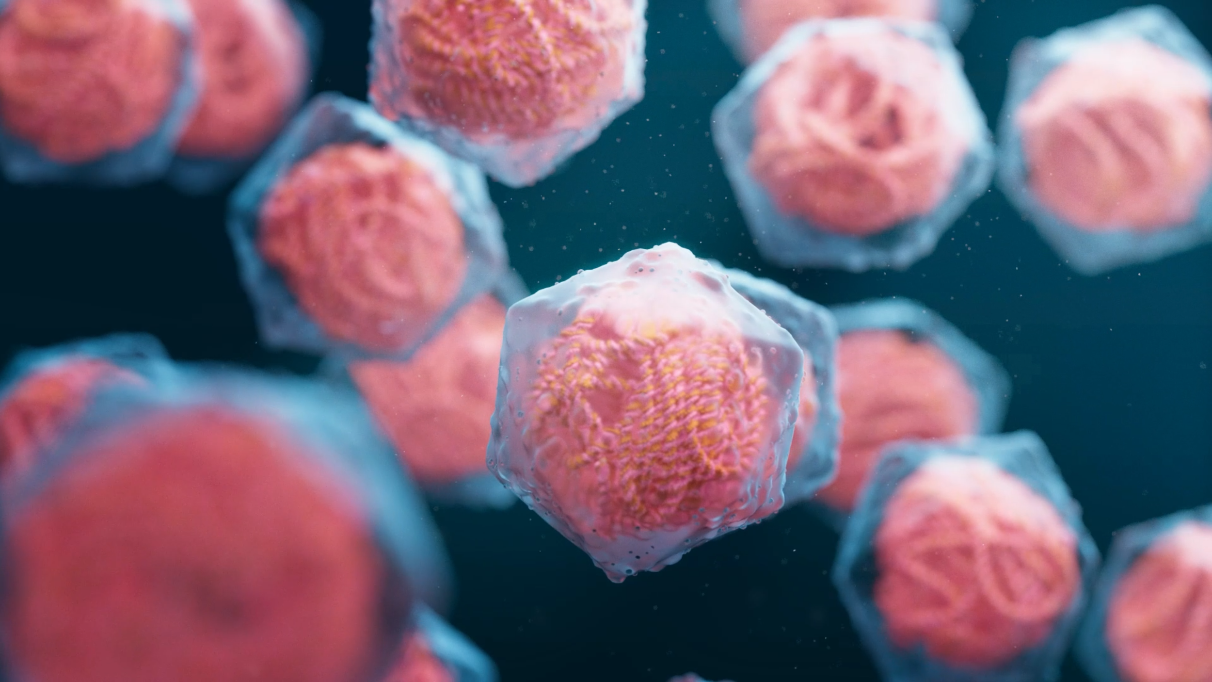 Screenshot 2026-03-12 105231.png