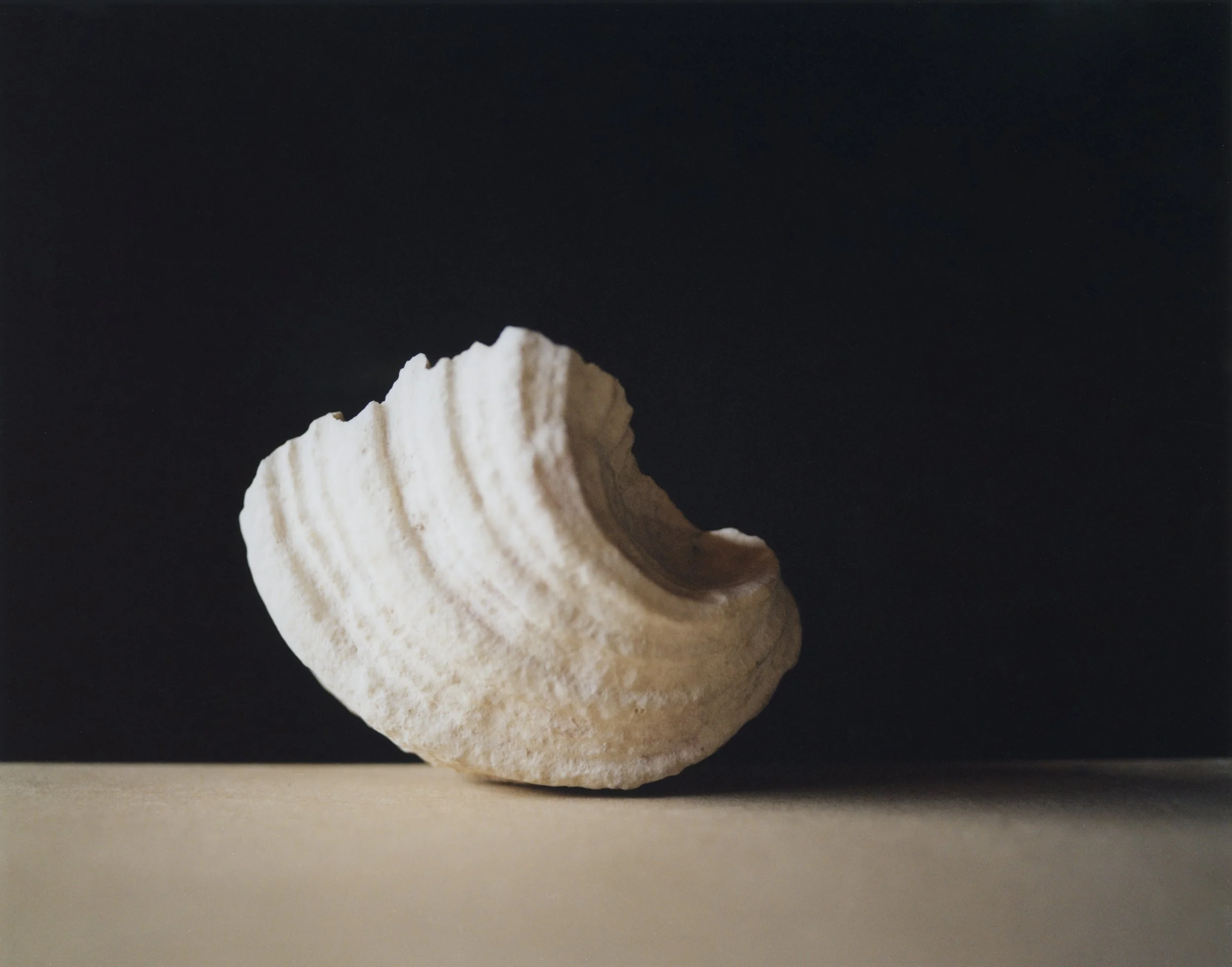 STILEMA_PROJECT_STILL_APRIL_23_©_CARLO_PIRO (14) copia.jpg