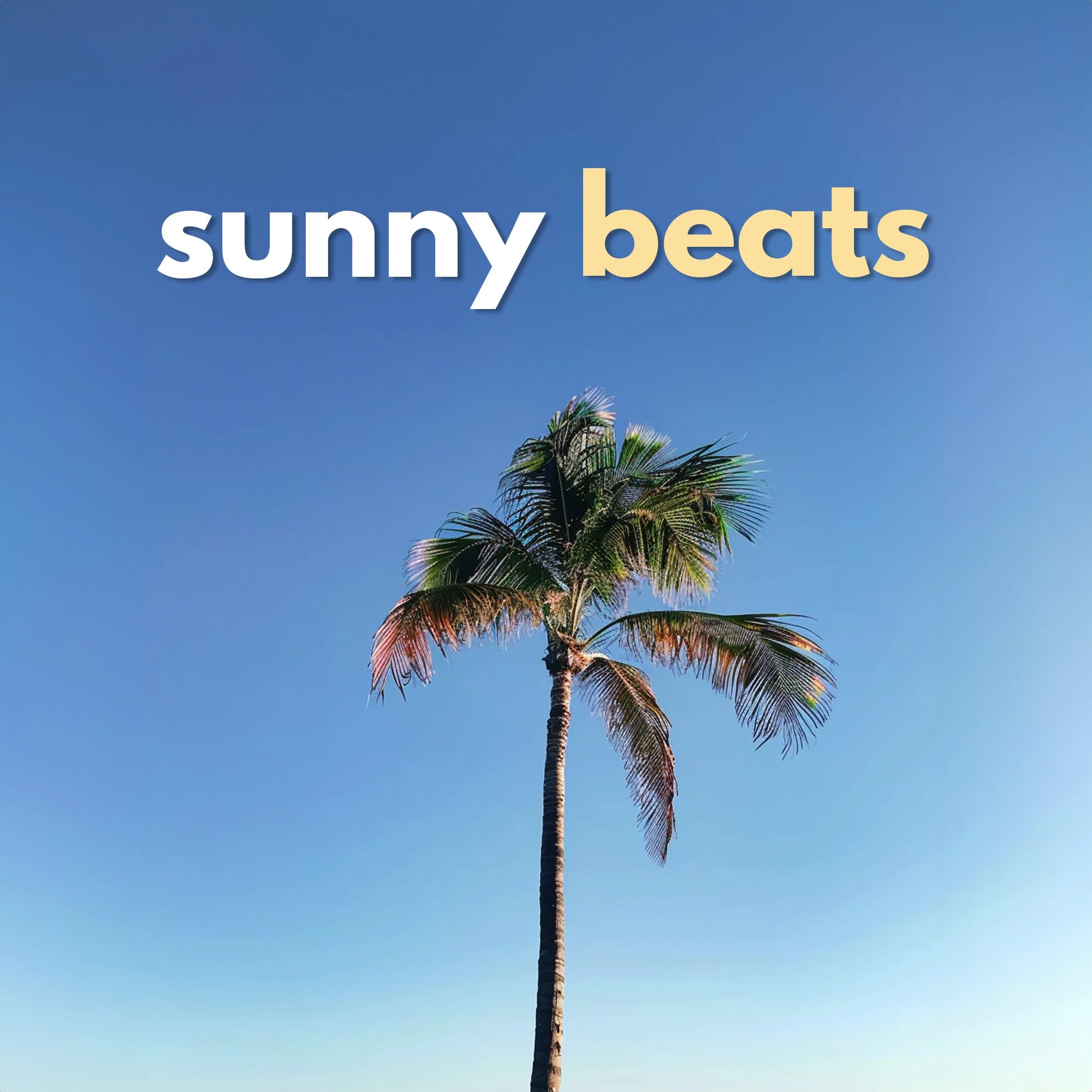 Sunny Morning Beats