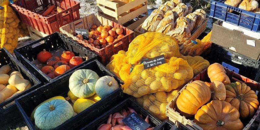 La ferme fait son marché au fournil bio de Opme (1/07/2026)