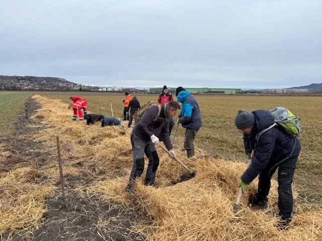 Plantation de haies - Saison VI (25-01-2026)