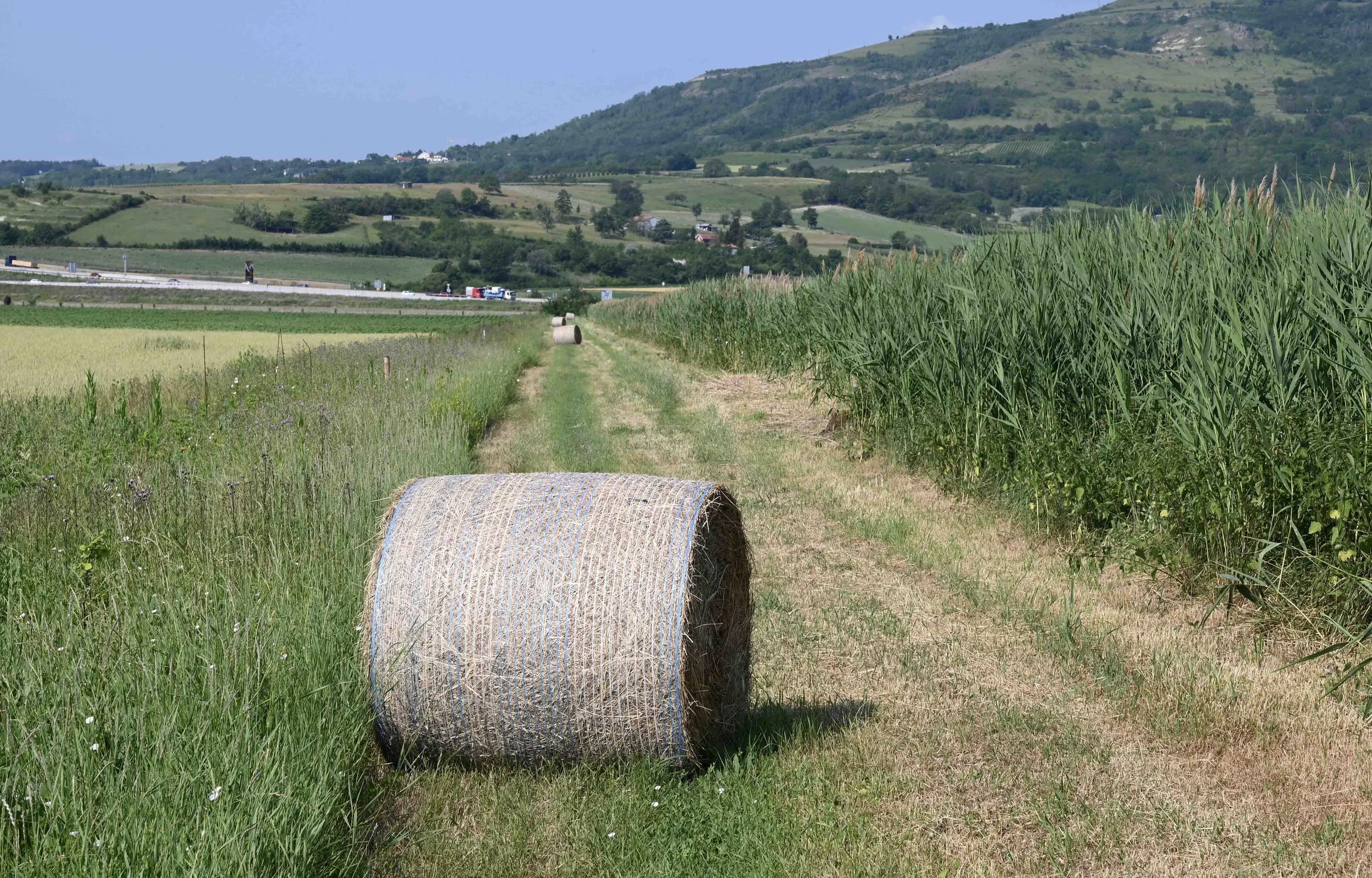 Les bandes enherbées (27/03/2026)