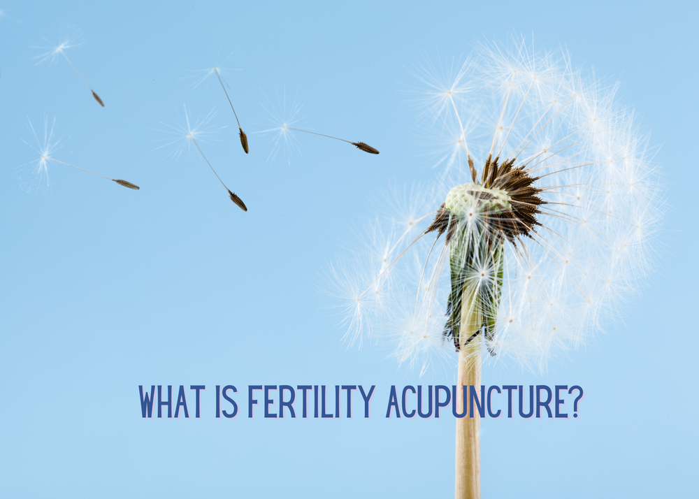 WHAT IS FERTILITY ACUPUNCTURE? — Kate Freemantle