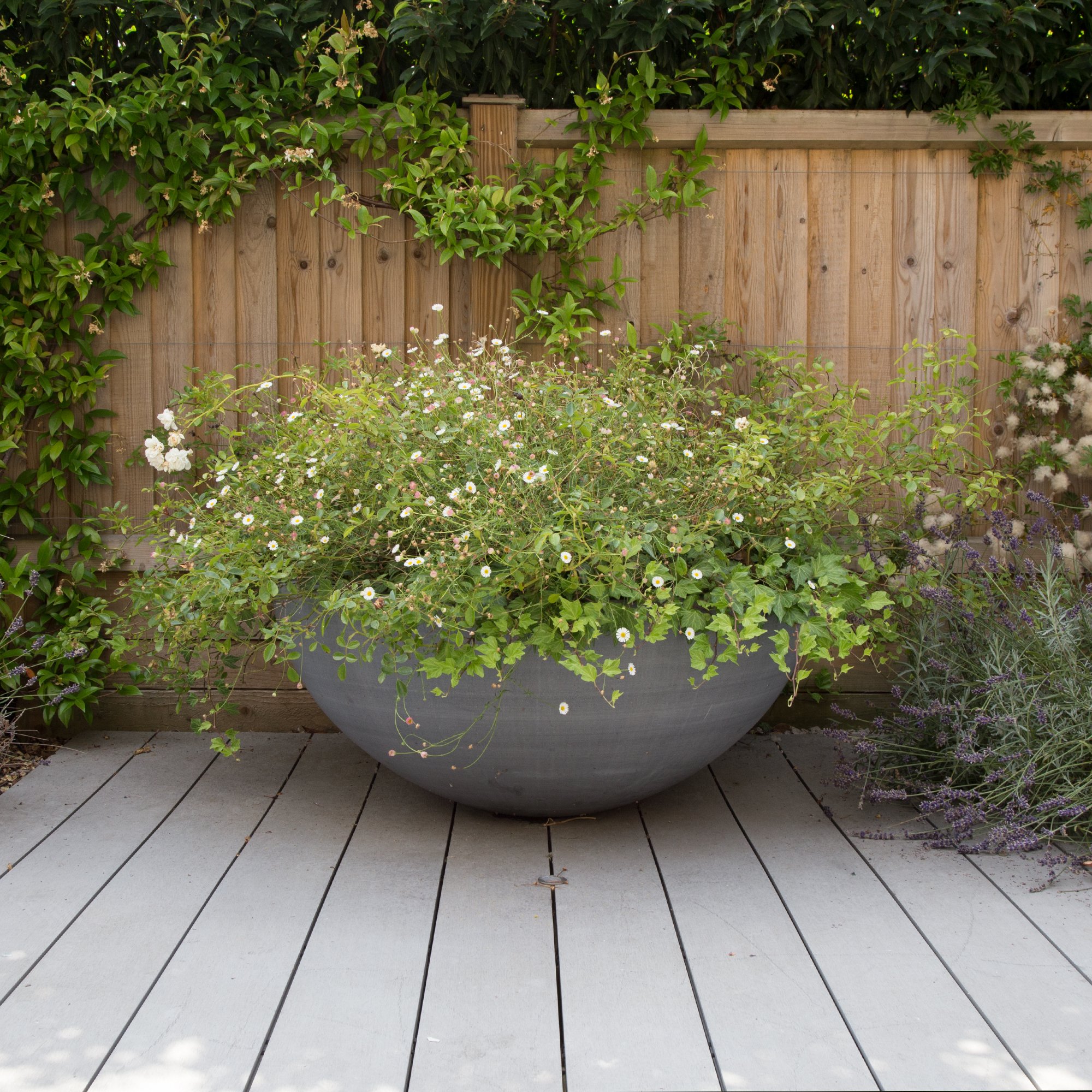 Camberwell Chapel Garden