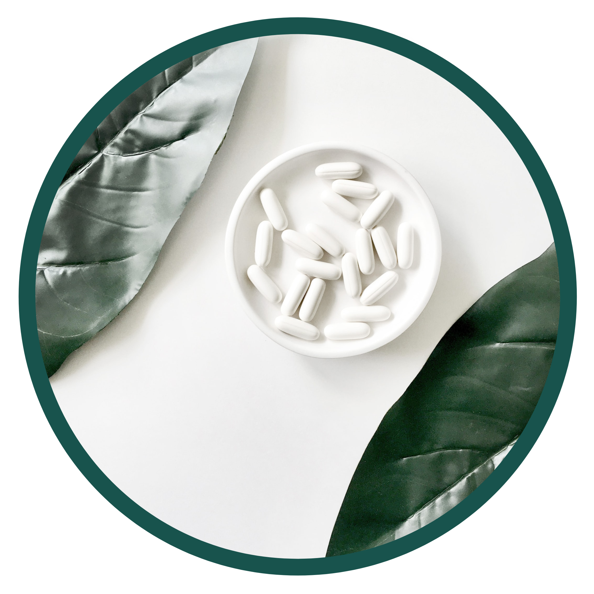 Medical Management — Winchester Weight Management Center