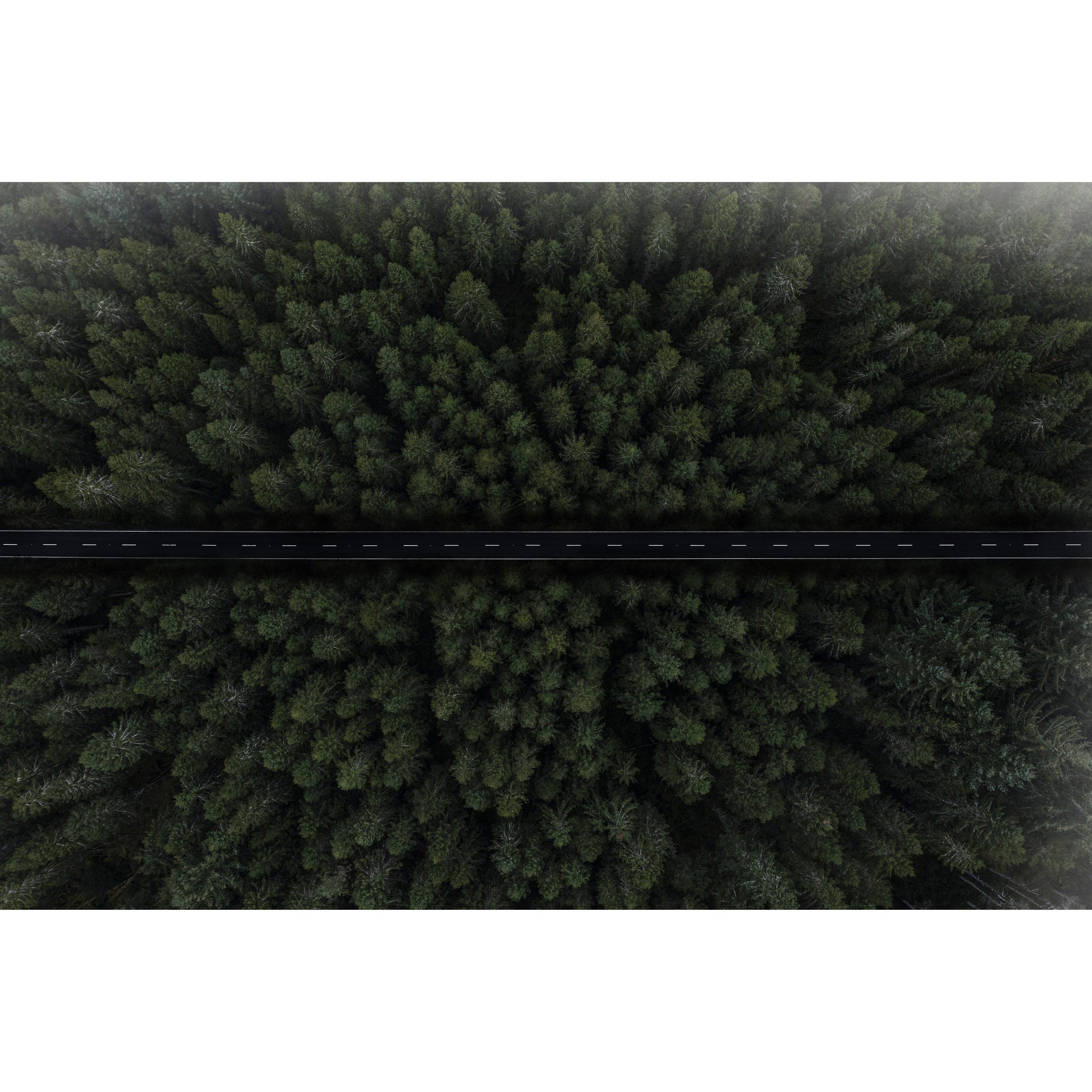 4. High Land Tree Road I(Web).jpg