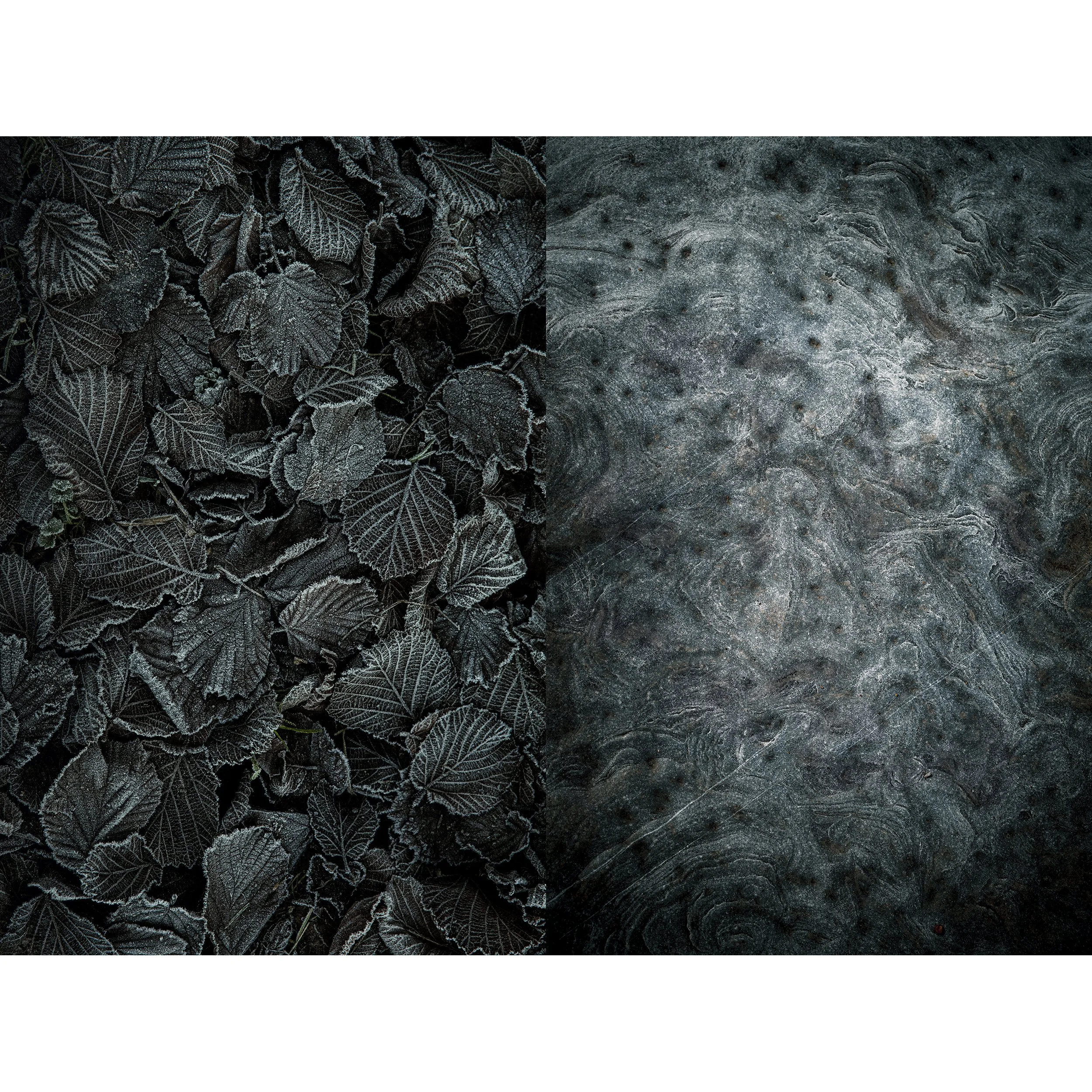 Degrees Of Stillness - Earth