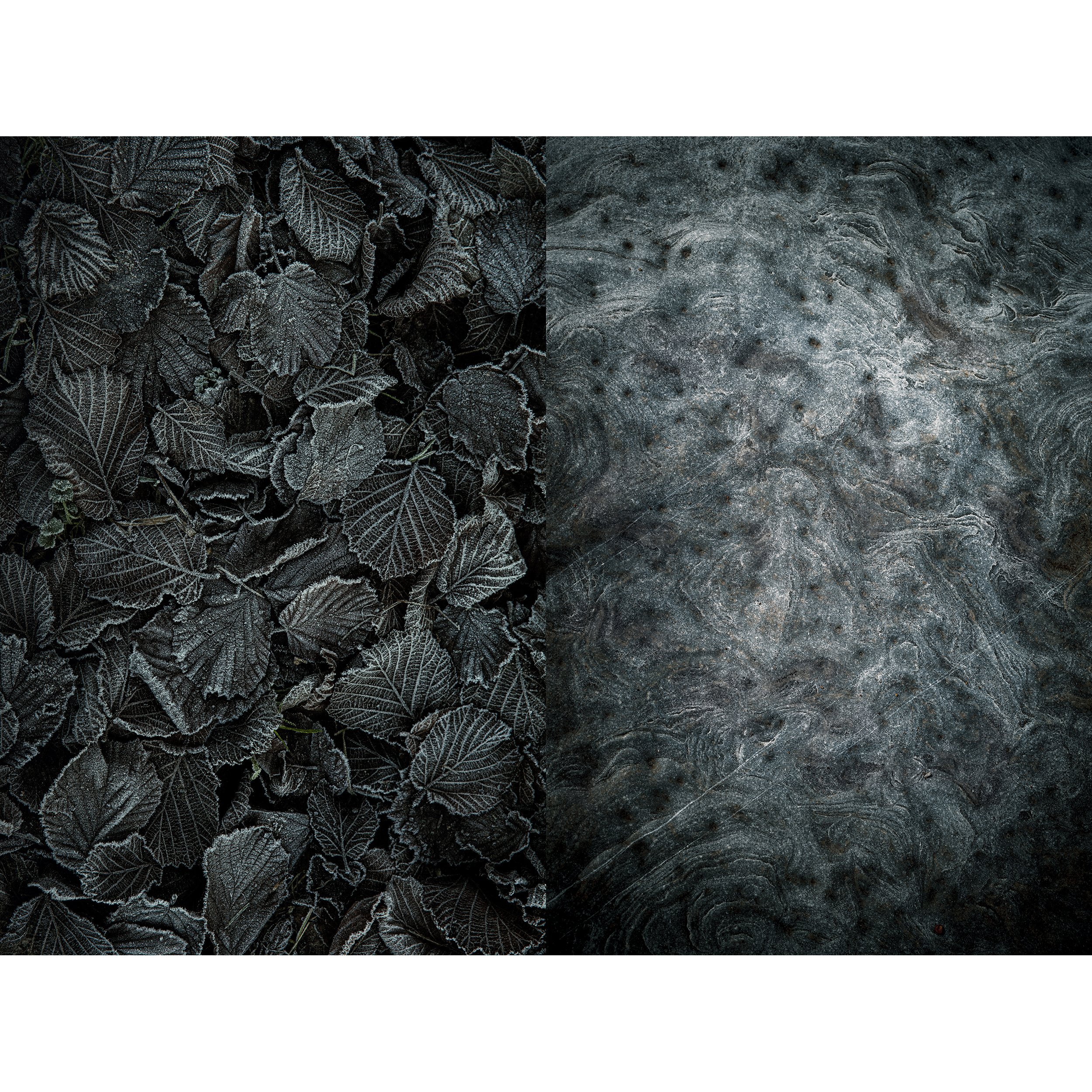 DegreesOfStillness-Earth copy.jpg