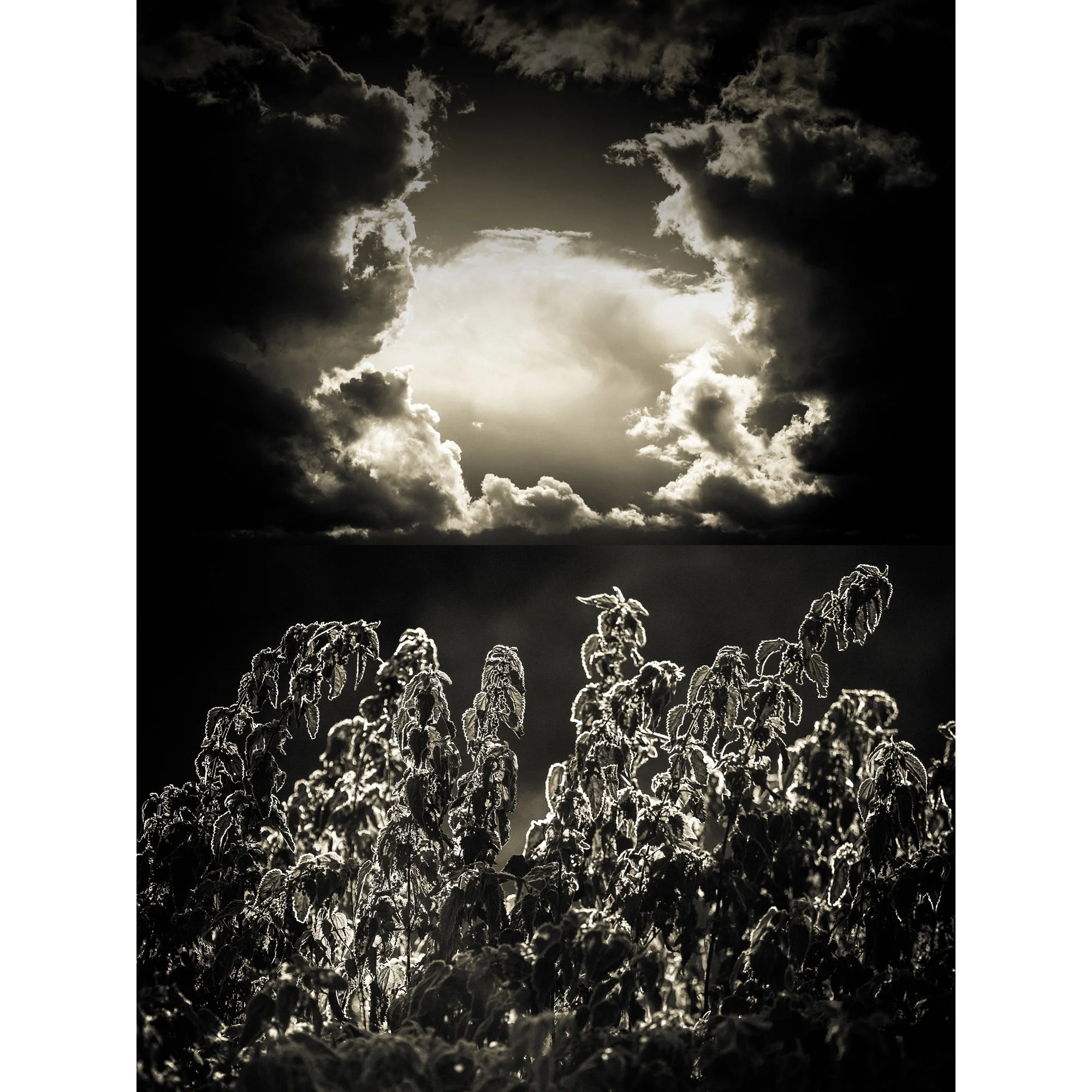 Korpilombolo-5 copy.jpg