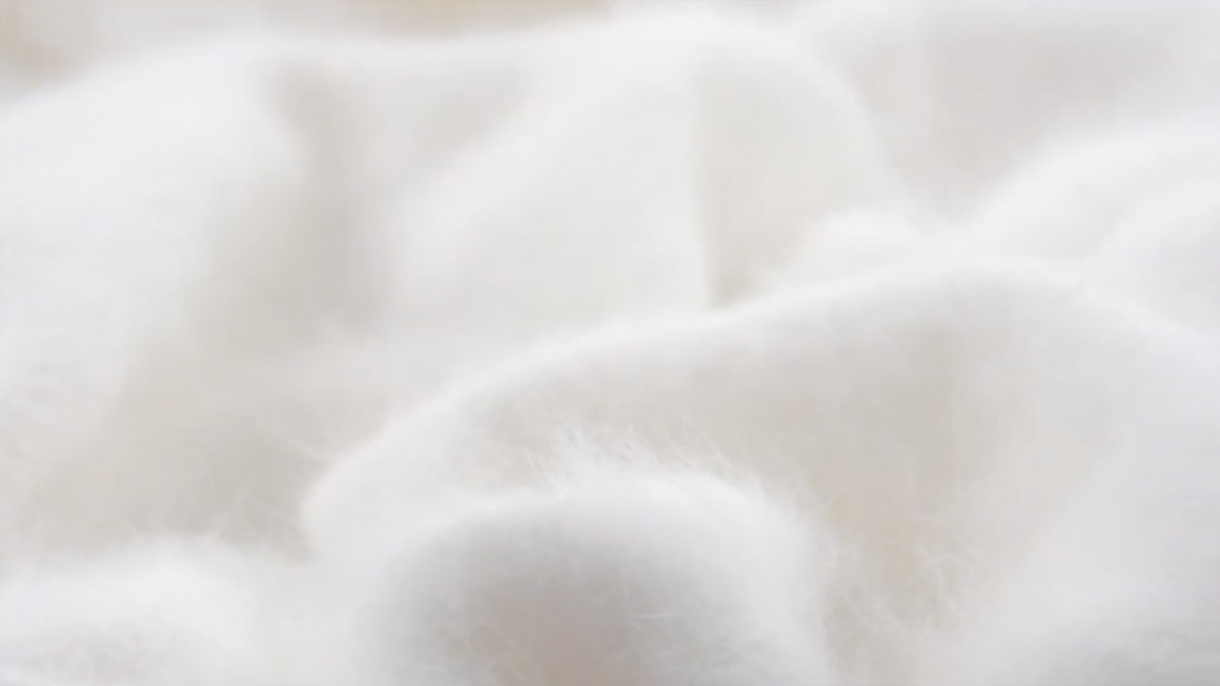 Fluff Hd Transparent, A Pattern Of White Fluff, Villus, White, Hair PNG  Image For Free Download