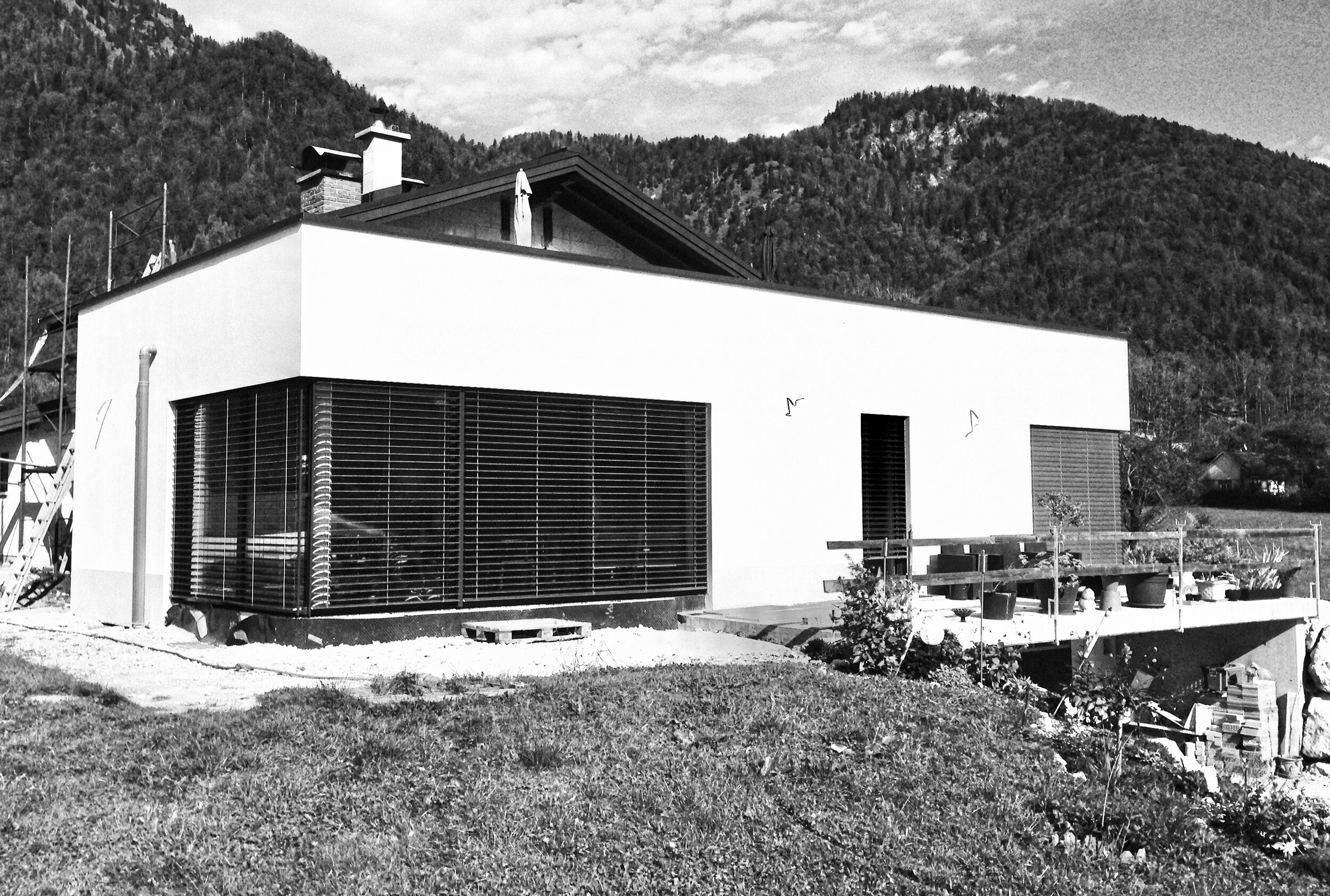 scheutz_start-13.jpg