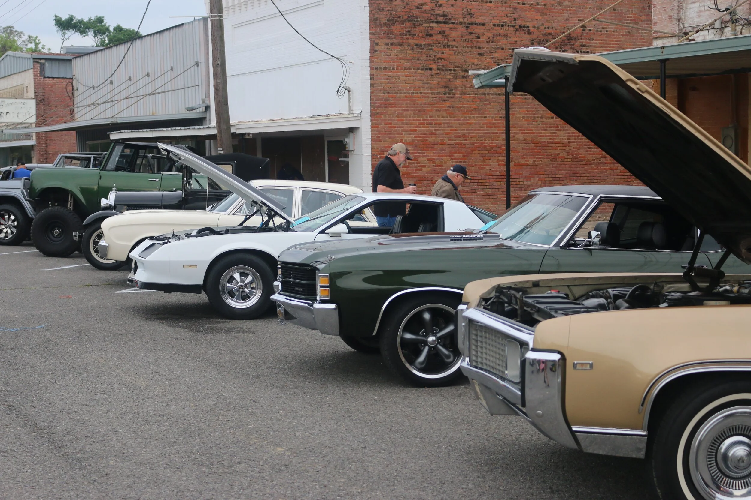 Gallery — South Franklin Catfish Festival