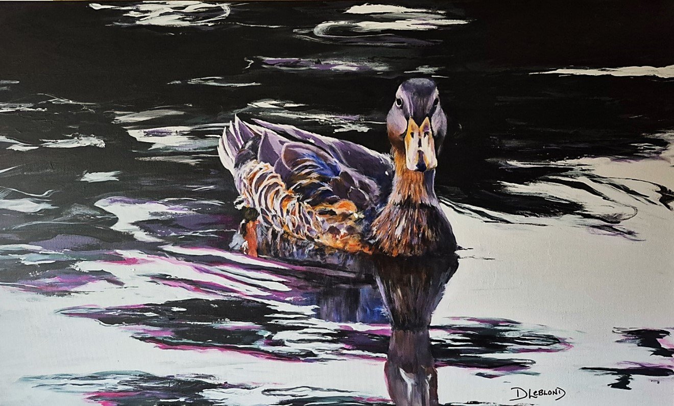Canard Colvert.jpg