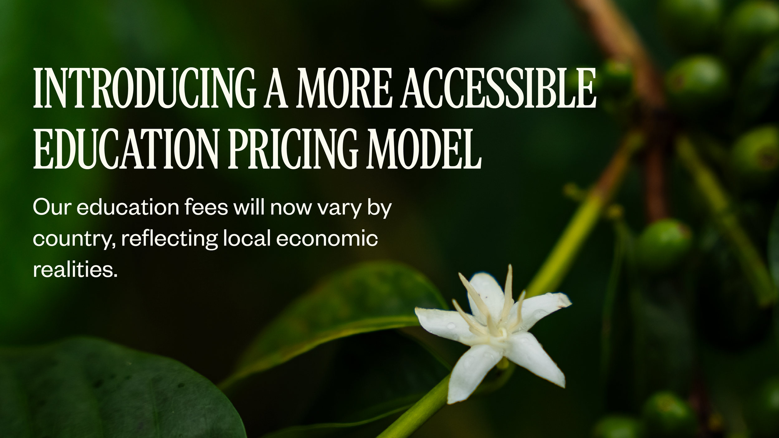 EDU Pricing Model Change All Graphics-PG-Workings.png