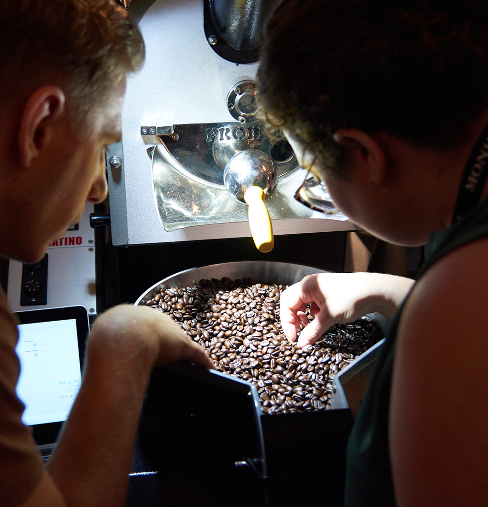 Coffee Sustainability Program | SCA Education — SCA Education