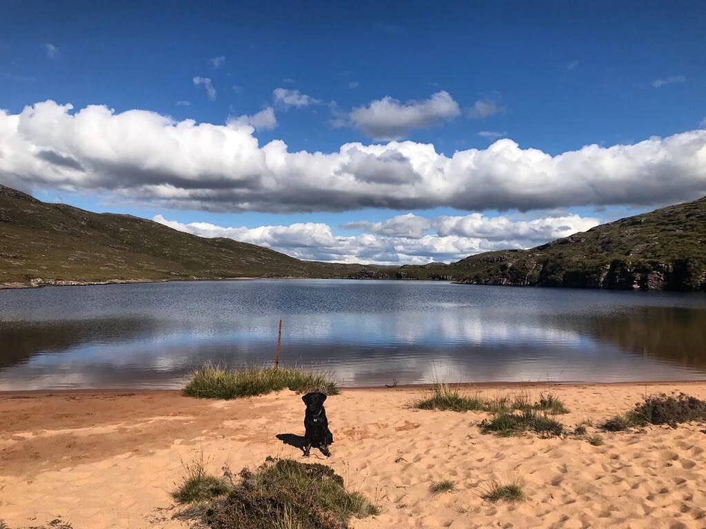 A good view... and a good dog.