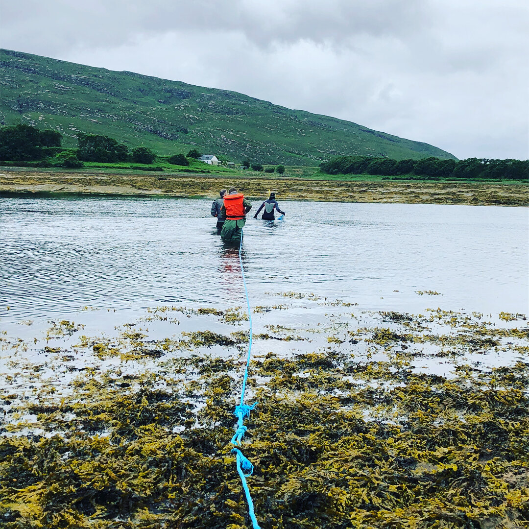 We had a brilliant time checking the health of the river with the fantastic Wester Ross Fisheries Trust. All fish put back safely! #salmon #seatrout #highlands