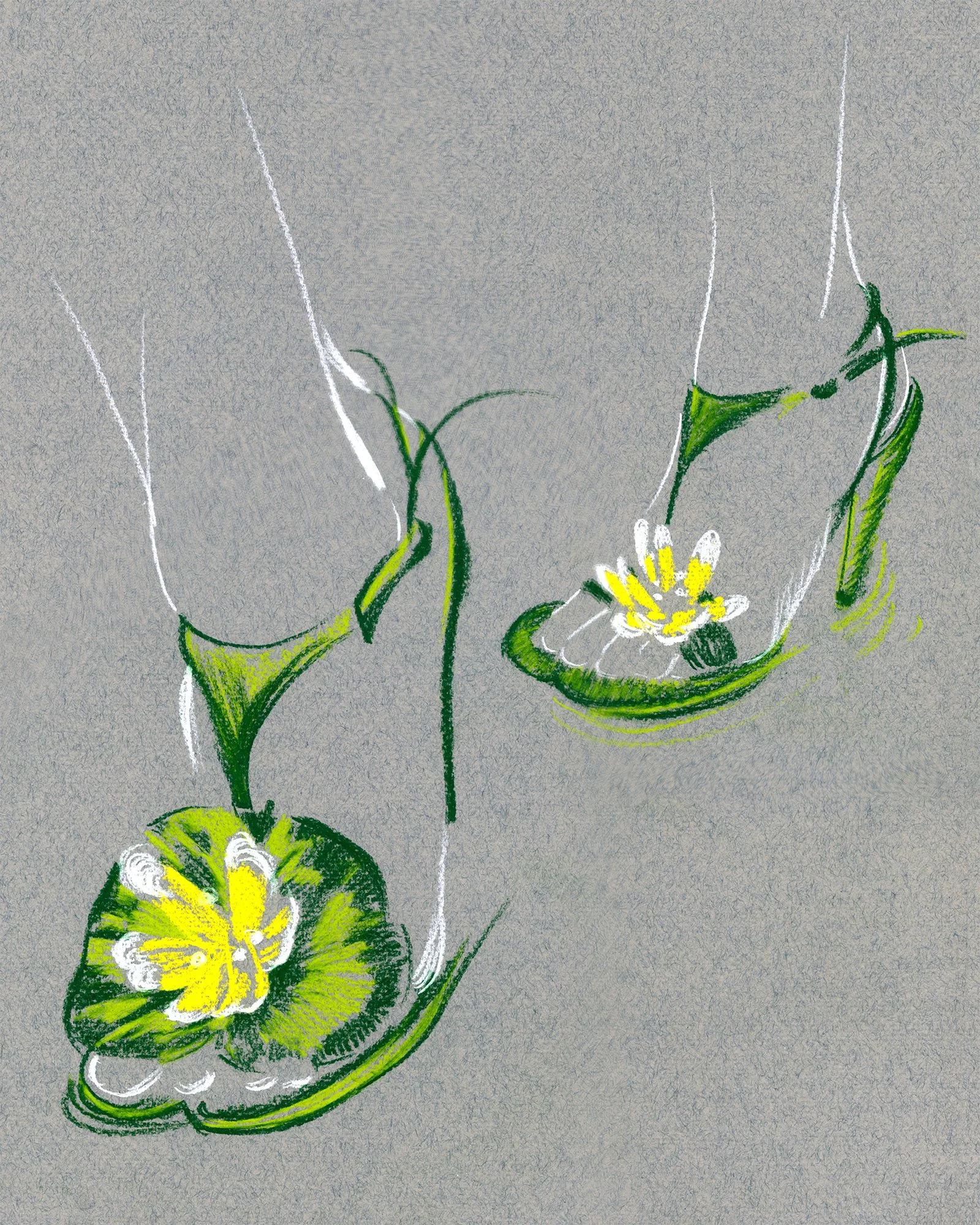 Detail study of Dior lily pad shoes, exploring sculptural footwear design, floral form, and delicate material construction