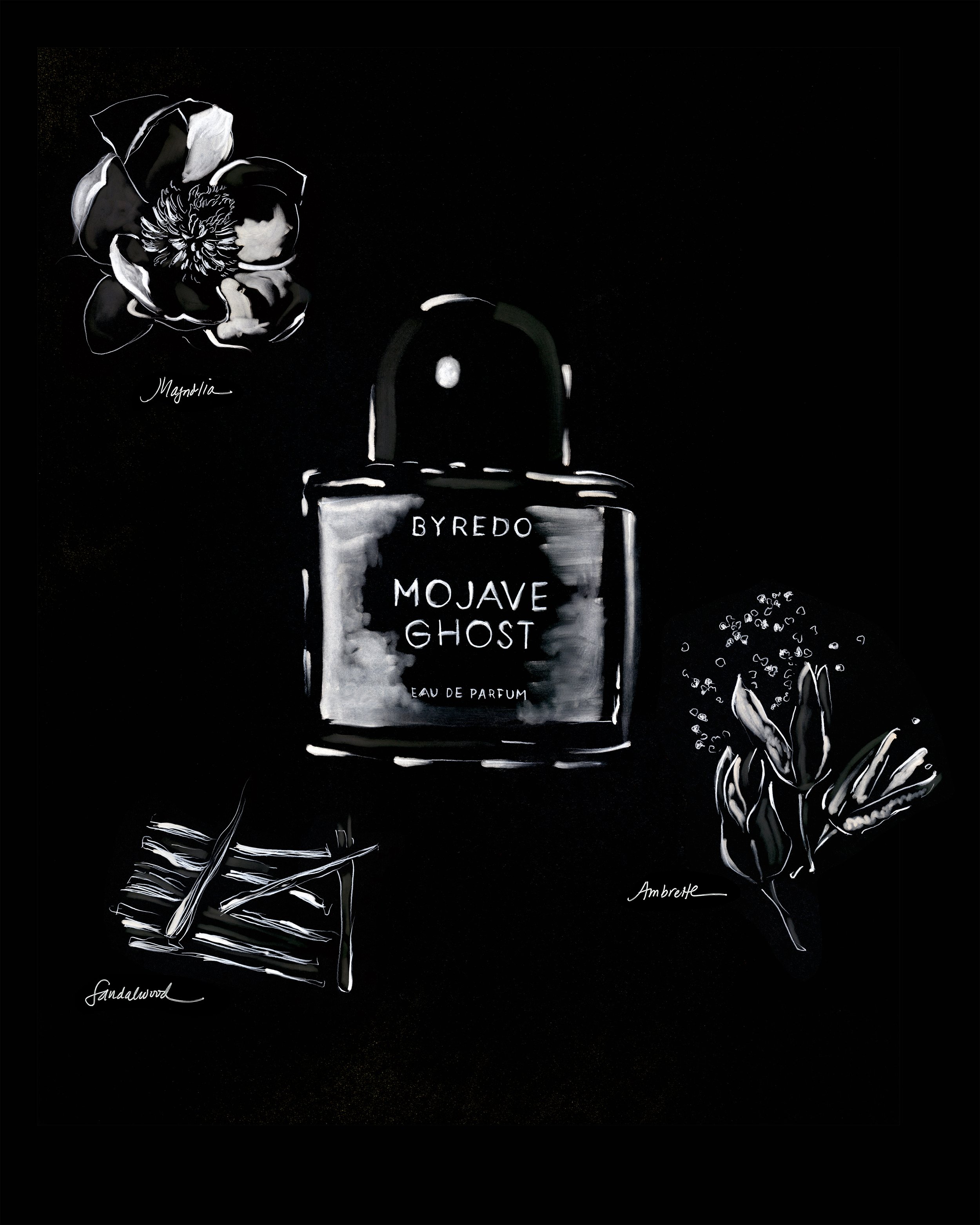 Hand-drawn fragrance illustration of Byredo Mojave Ghost with magnolia, sandalwood, and ambrette ingredients by Ioana Friedman.