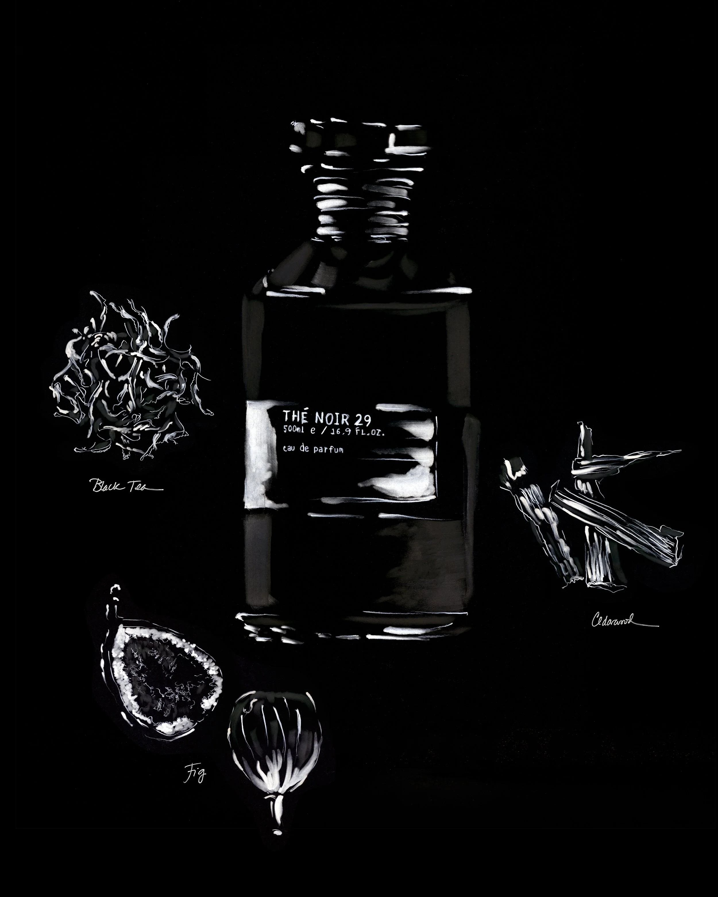 Hand-drawn fragrance illustration of Le Labo Thé Noir 29 with black tea, cedarwood, fig, and botanical ingredients by Ioana Friedman.