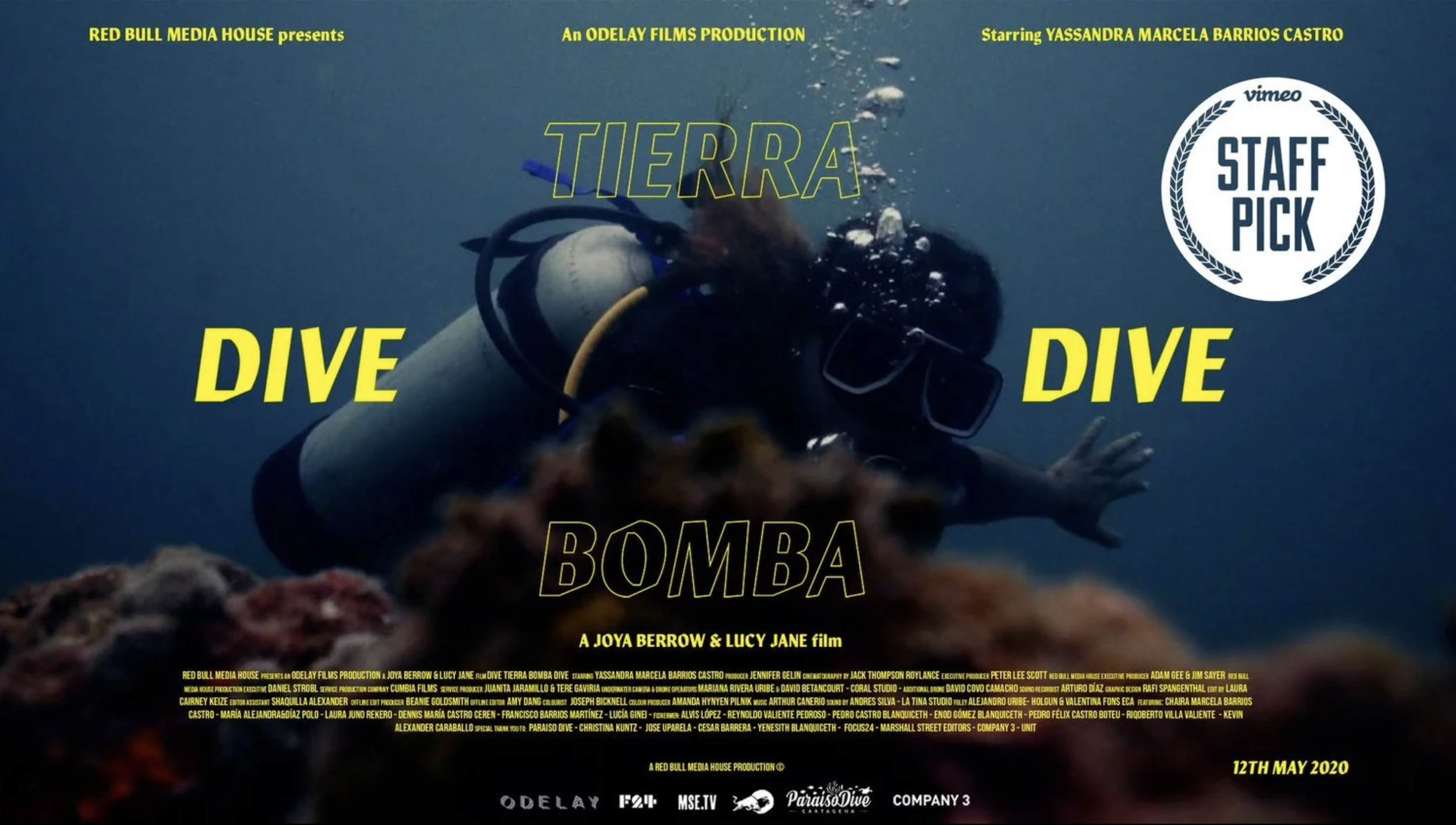  DIVE TIERRA BOMBA DIVE 
 Documentary 