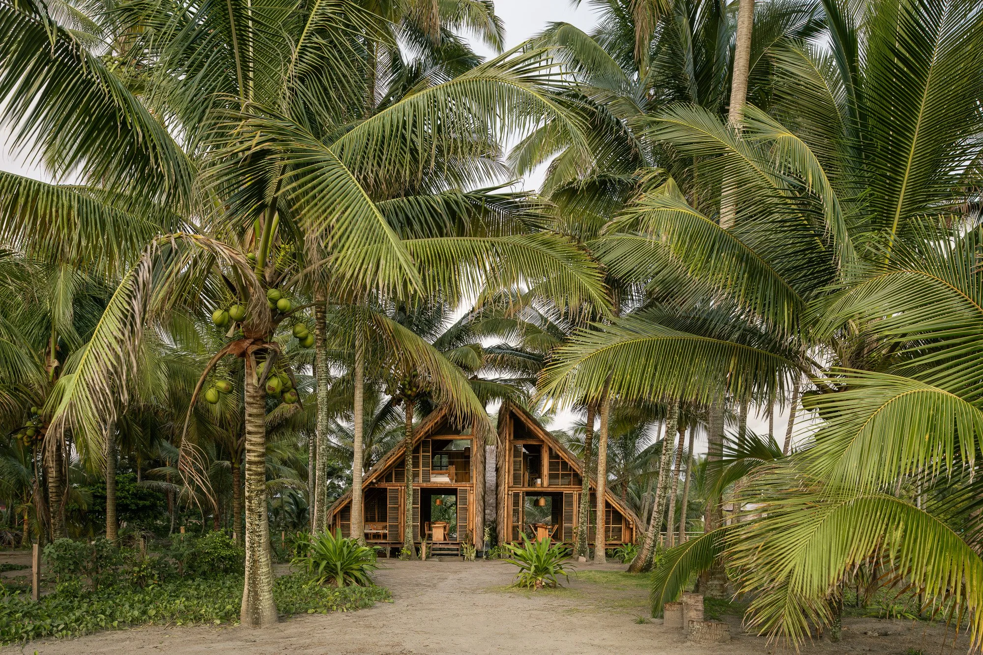Contemporary Ecuadorian Architecture: Connecting Materials, Environment, and Culture | ArchDaily
