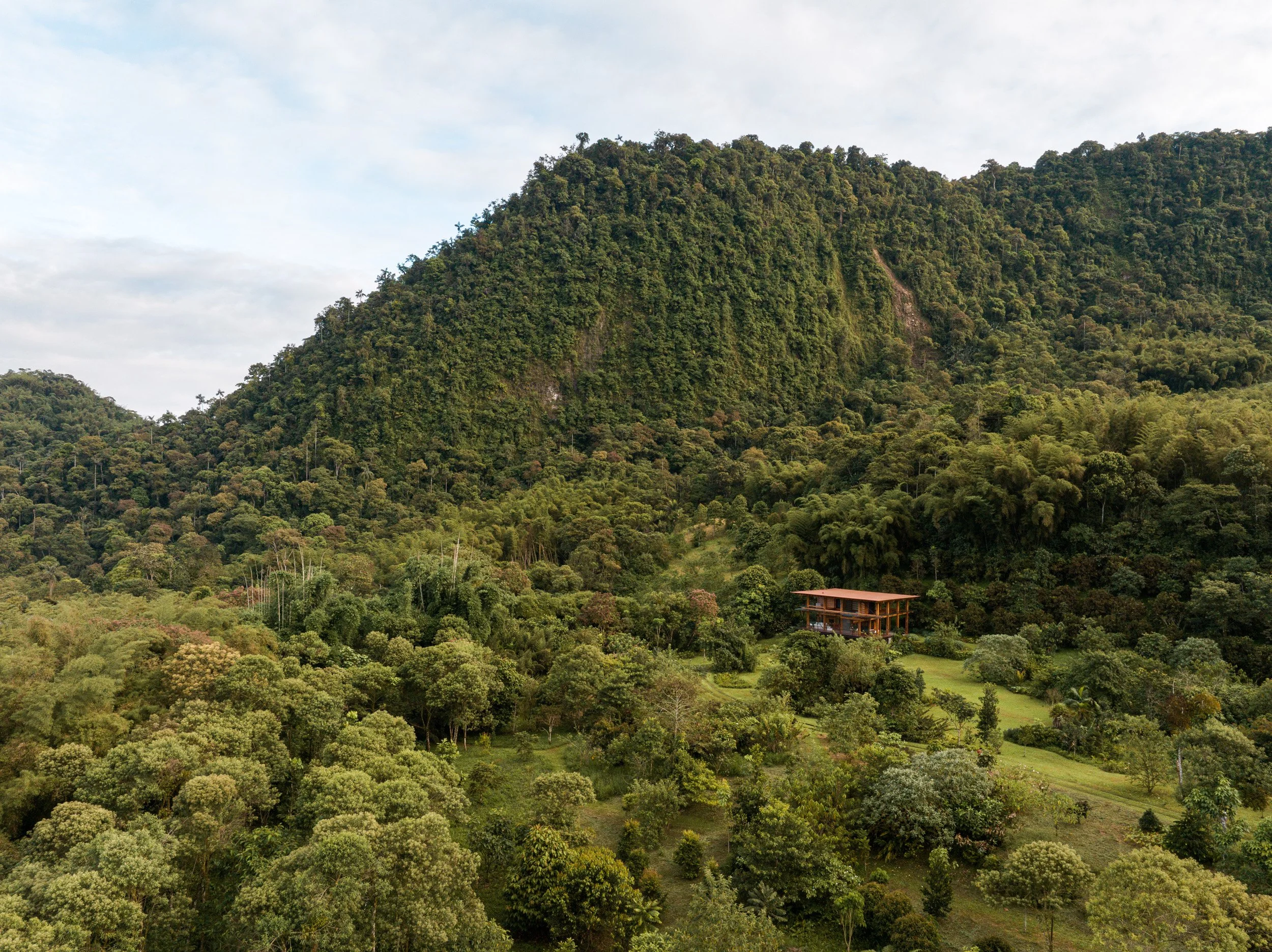 House Taller General Jose María Sáez Ecuador Andes timber frame nature Mindo pitaya botanic garden