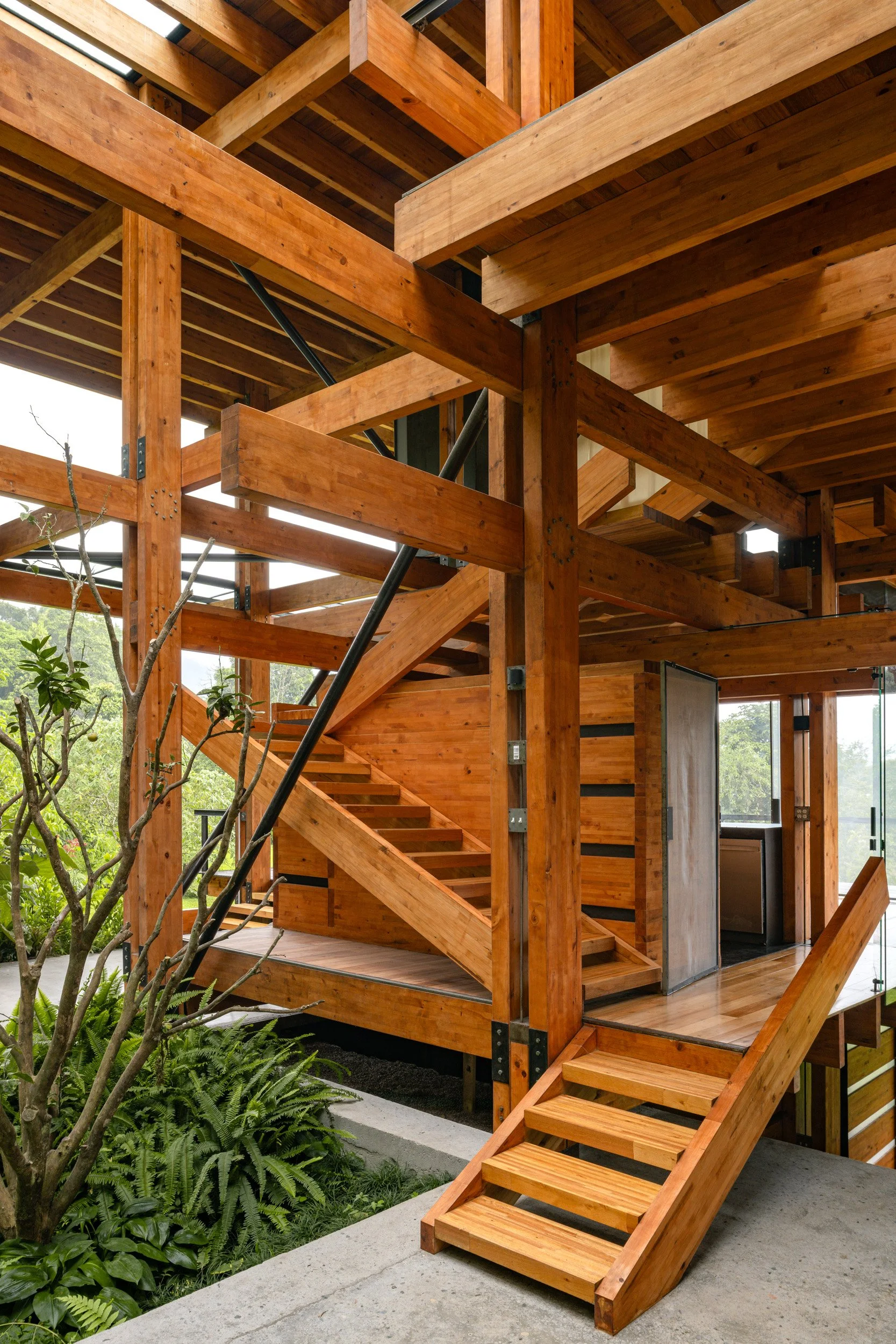 House Taller General Jose María Sáez Ecuador Andes timber frame nature Mindo pitaya botanic garden