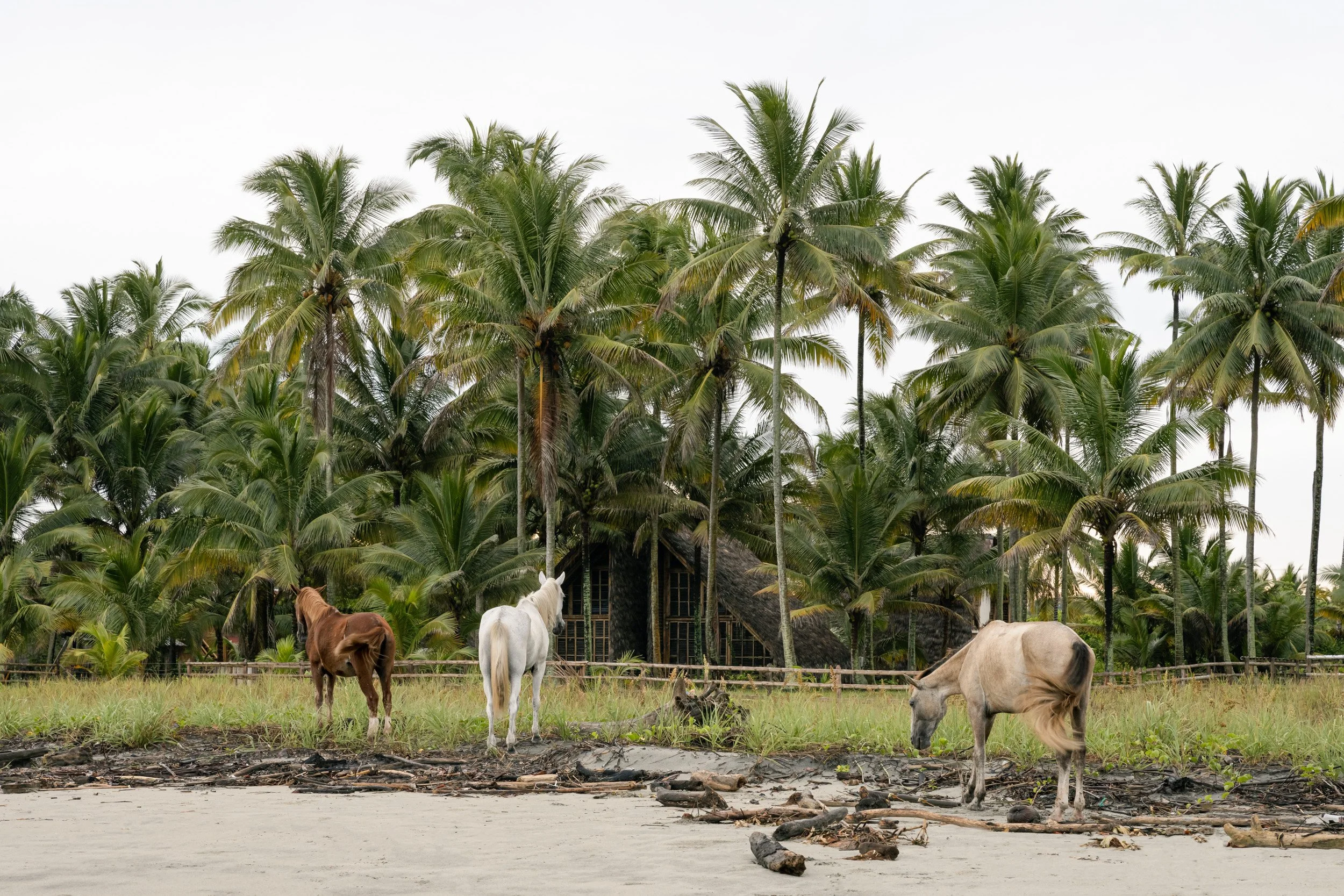 Casa Toquilla_Francesco Russo Architectural Interior Photographer London_001.jpg