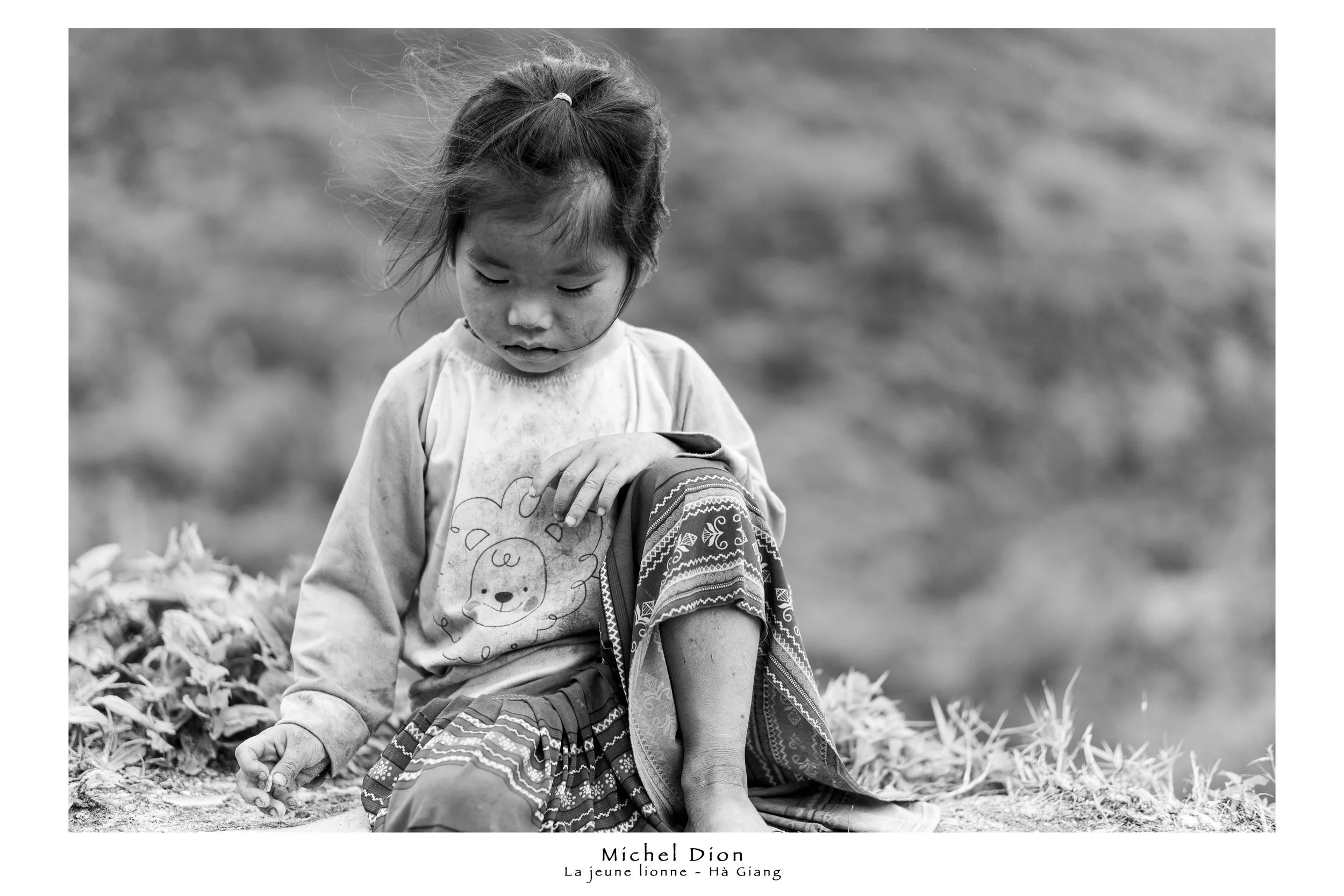 Ha Giang 20250426 La jeune lionne.jpg