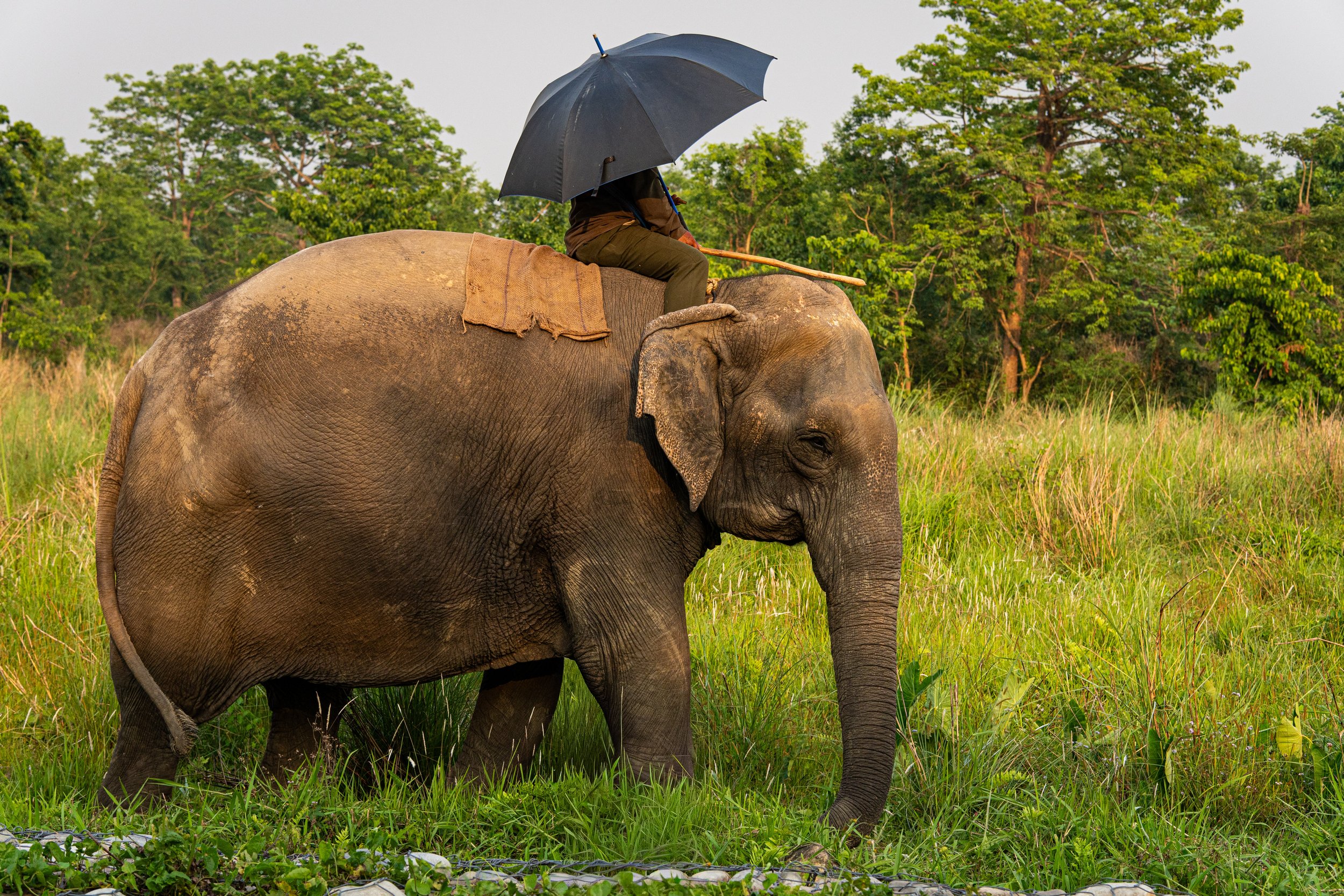 Changement au programme