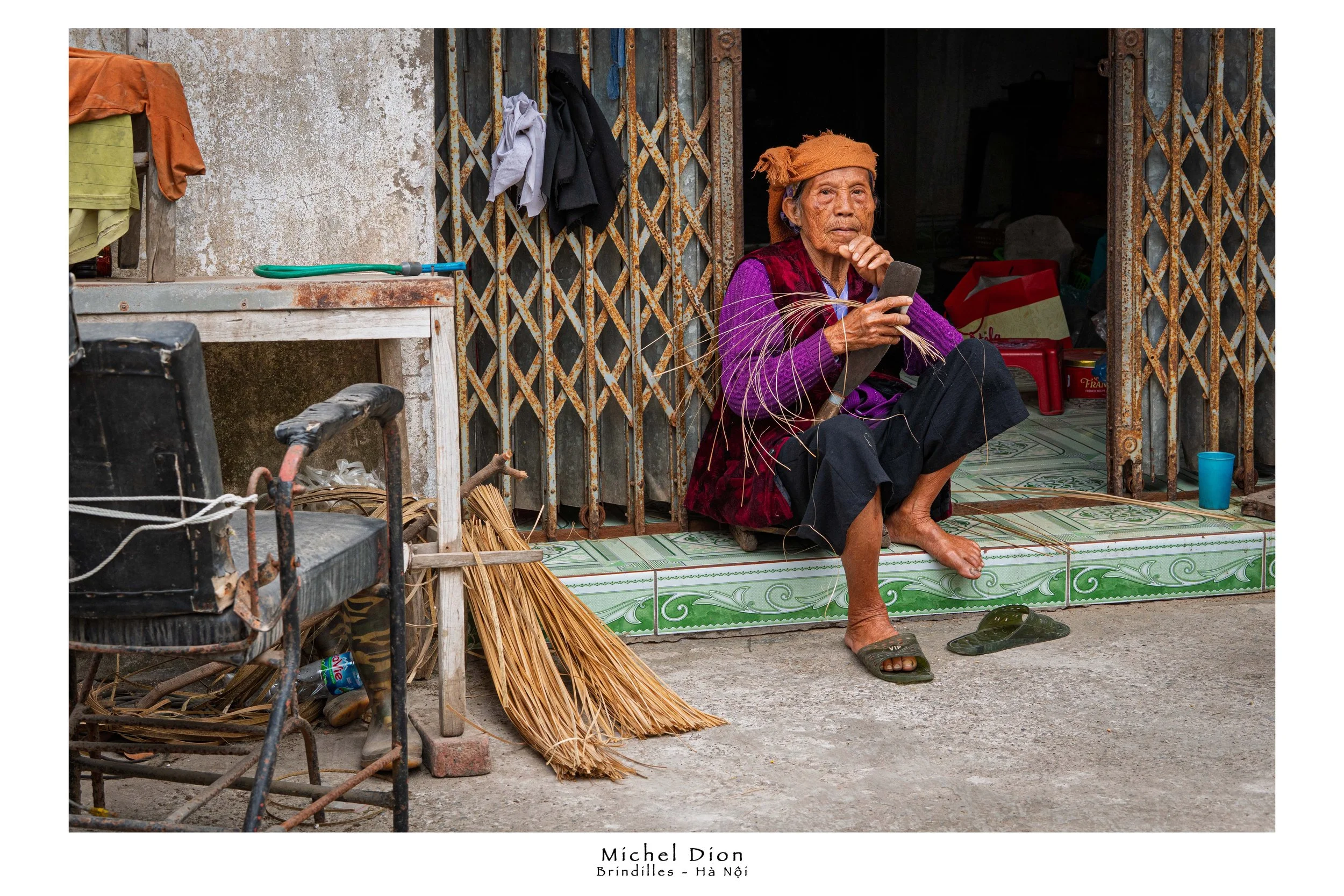 Hanoi 20250413 Brindilles.jpg