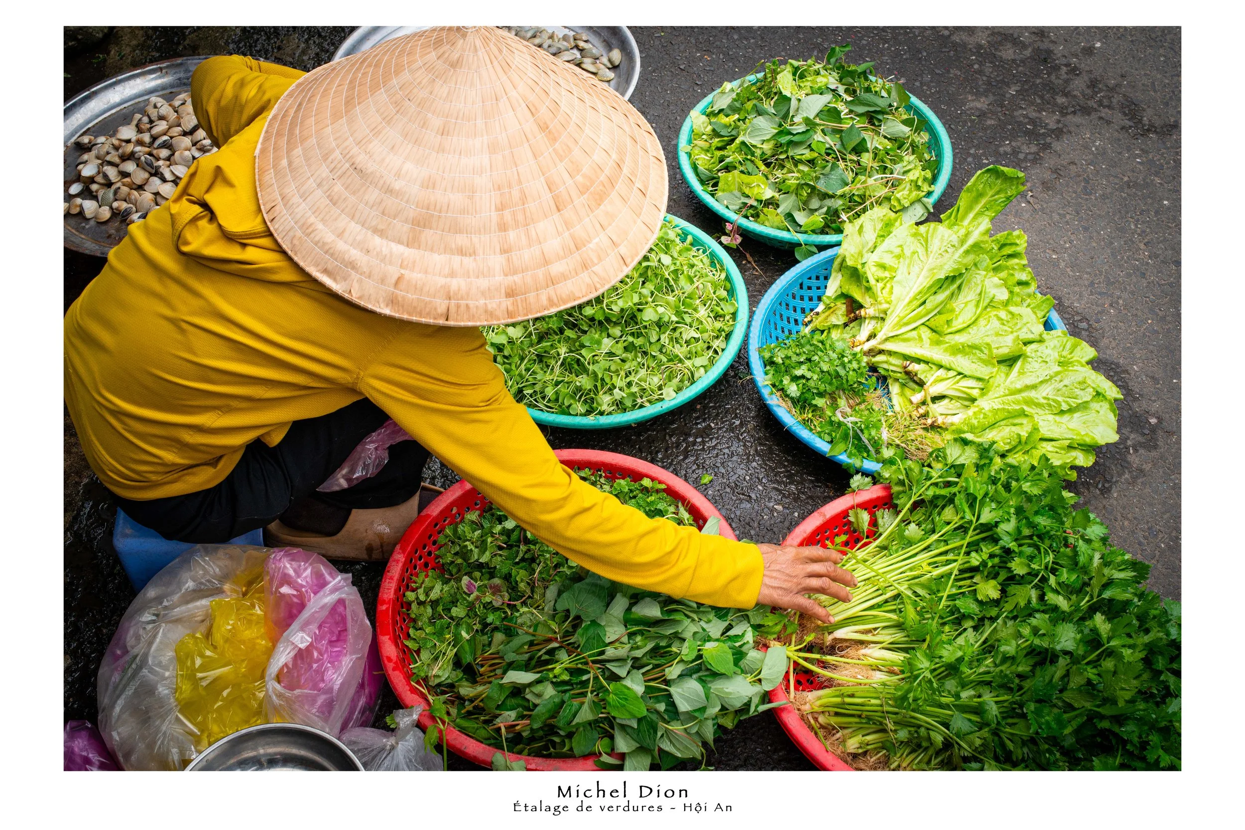 Hoi An 20250404 Étalage de Verdures.jpg