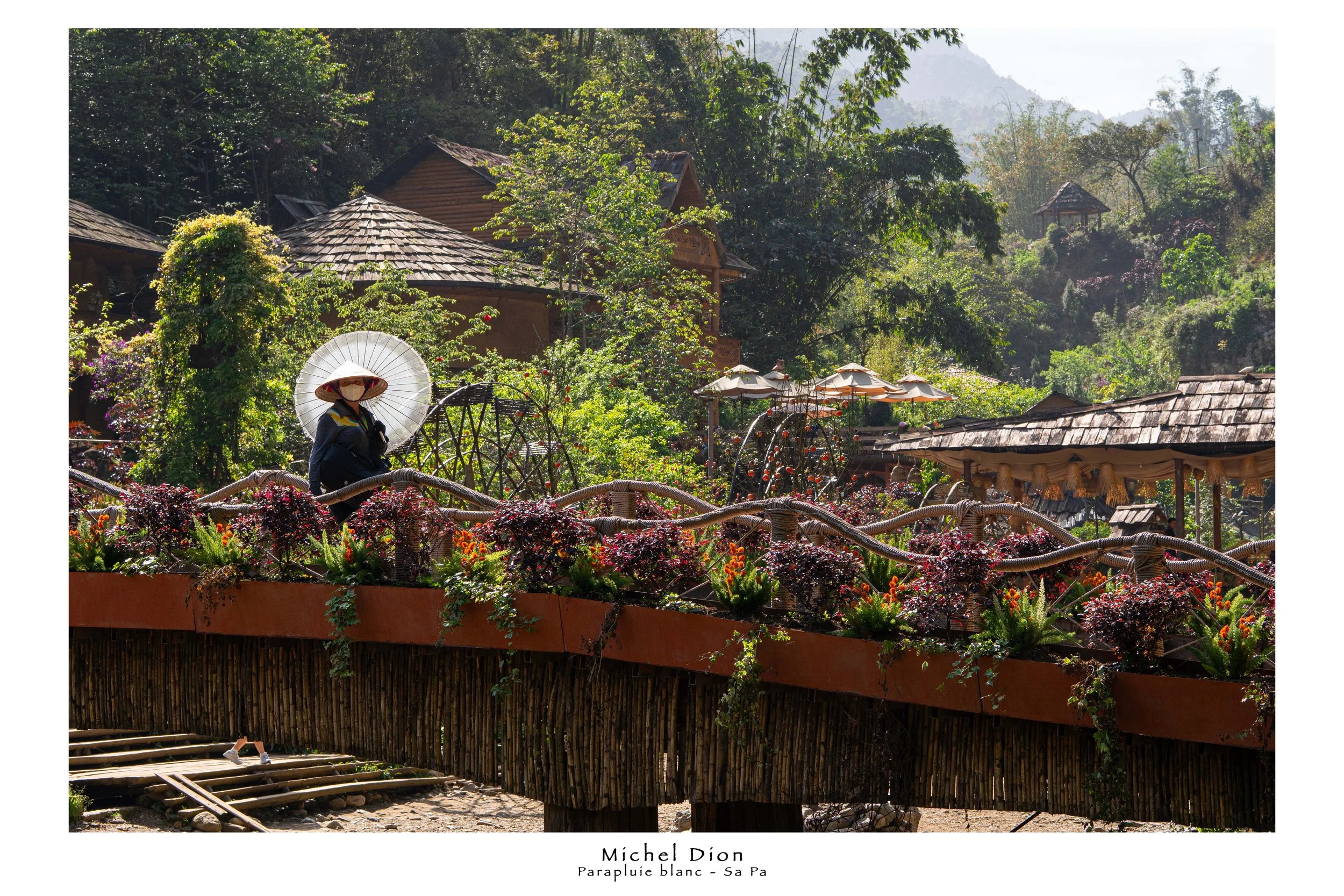 Sapa 20250415 Parapluie Blanc.jpg