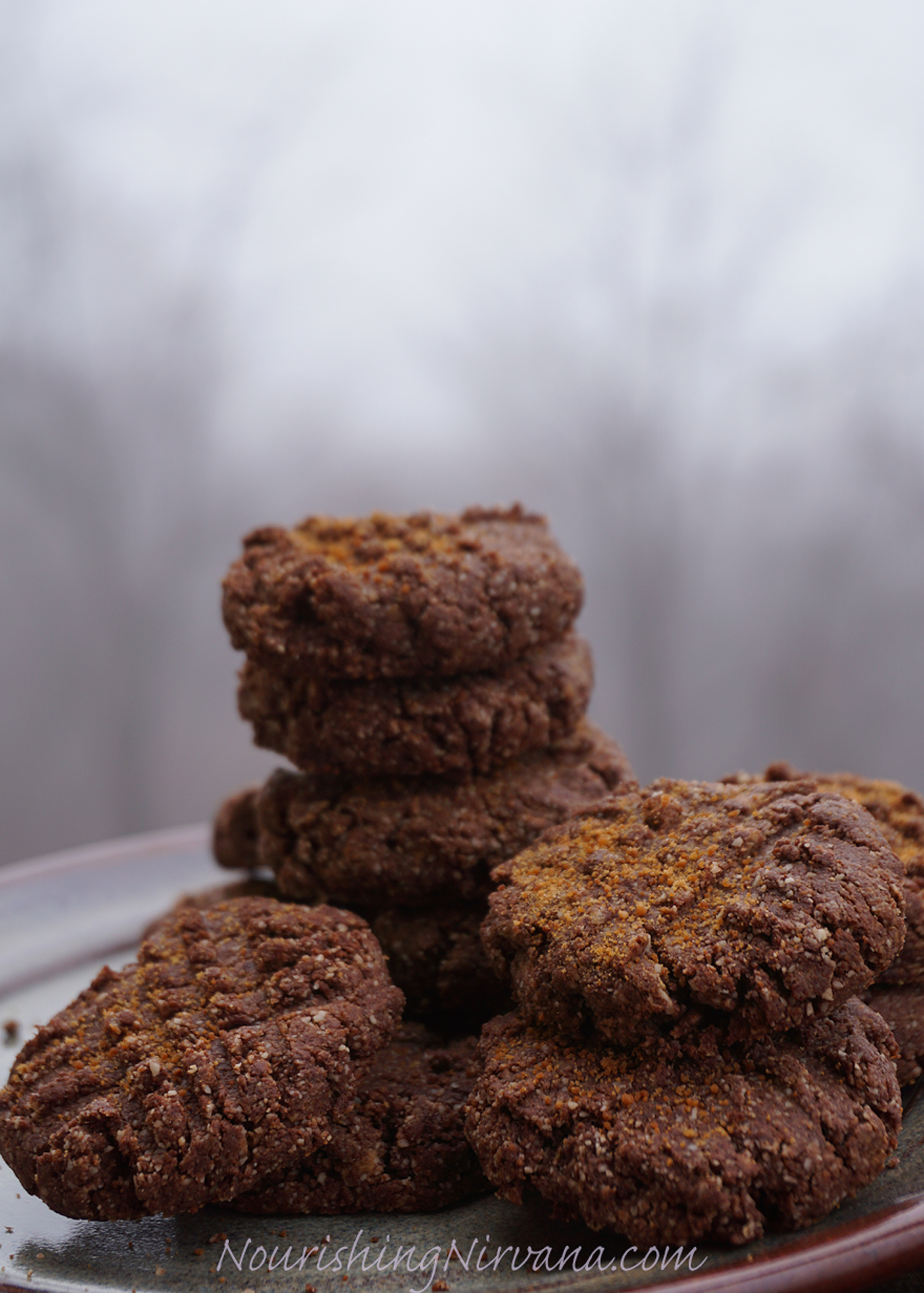 Chocolate Peanut Butter Cookies