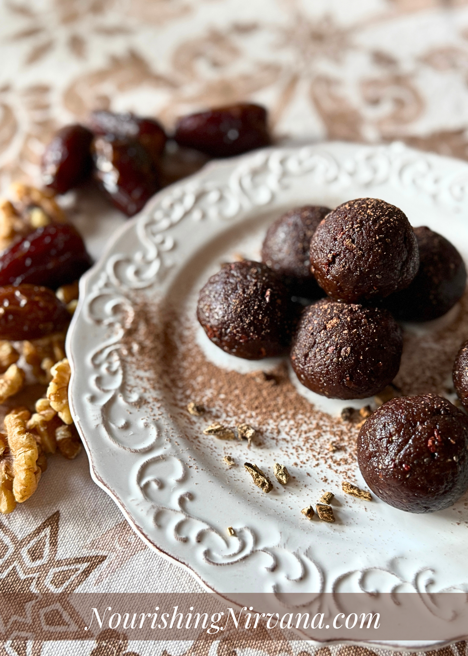 Chocolate Bliss Balls (RAW)