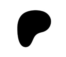 Screen Shot 2023-10-23 at 3.04.11 PM.jpg