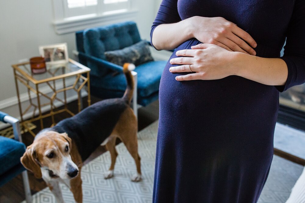 Portrait of a pregnant mom holding her baby belly, wearing a purple dress, while her dog looks on in the background, Philadelphia Maternity Photographer