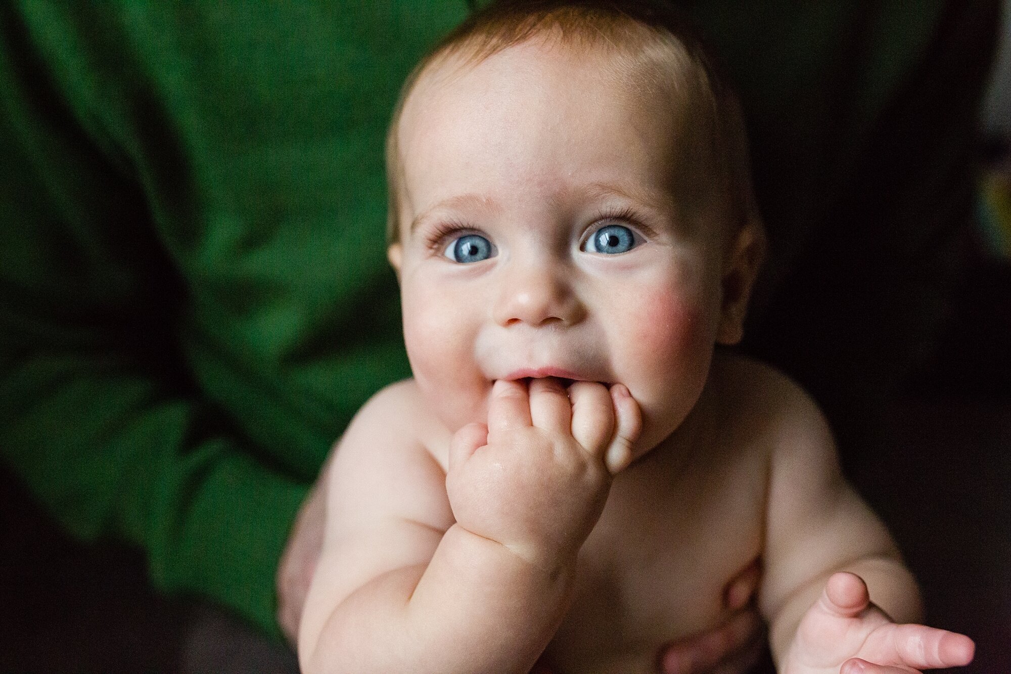 Eight month old baby home on a snow day, teething on chubby fingers, looking at the camera, blue eyes and rosy cheeks, Philadelphia Family Photography