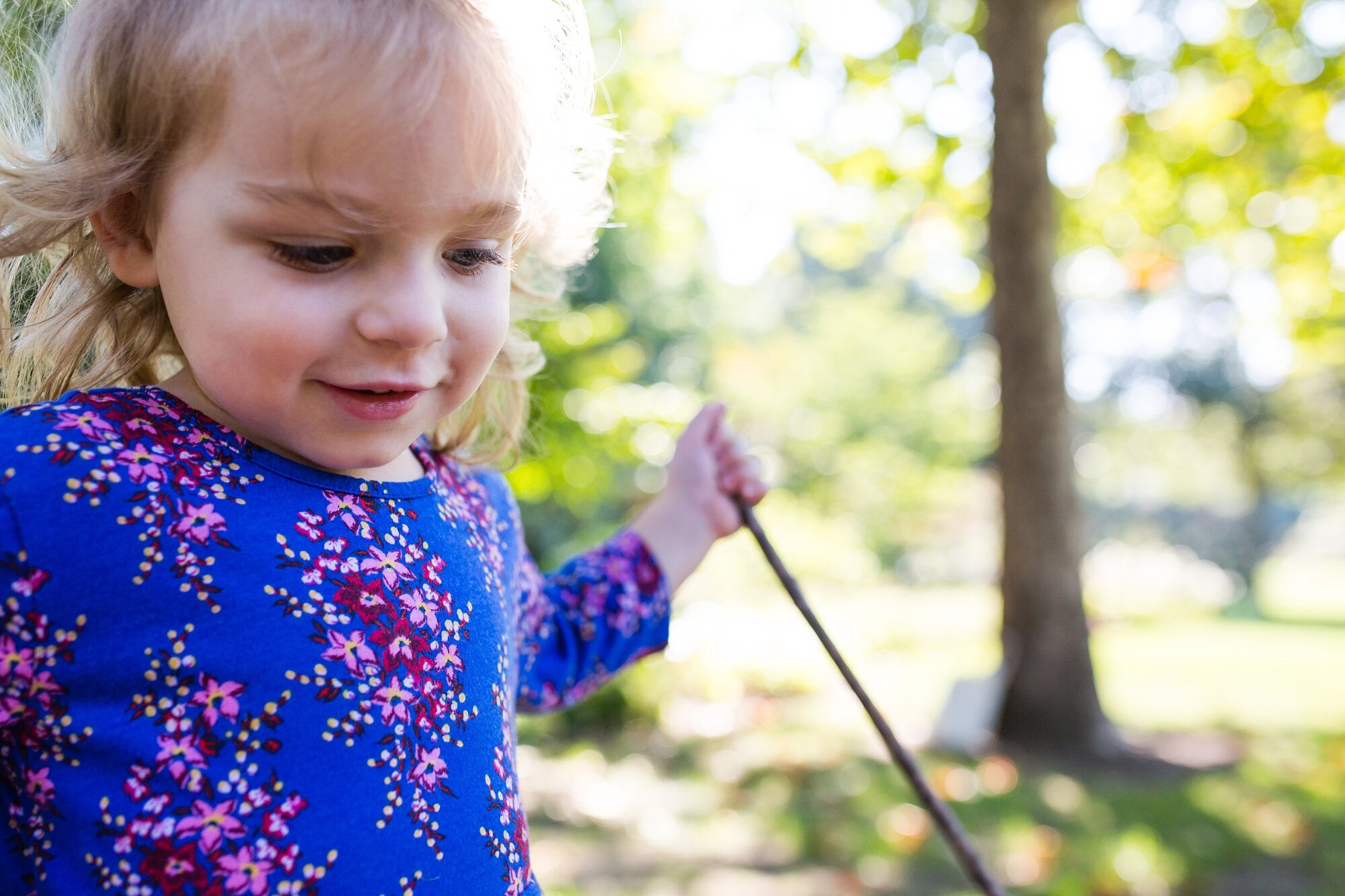 Three year old toddler girl plays with sticks in the park wearing a blue flower dress, Philadelphia Family Photography