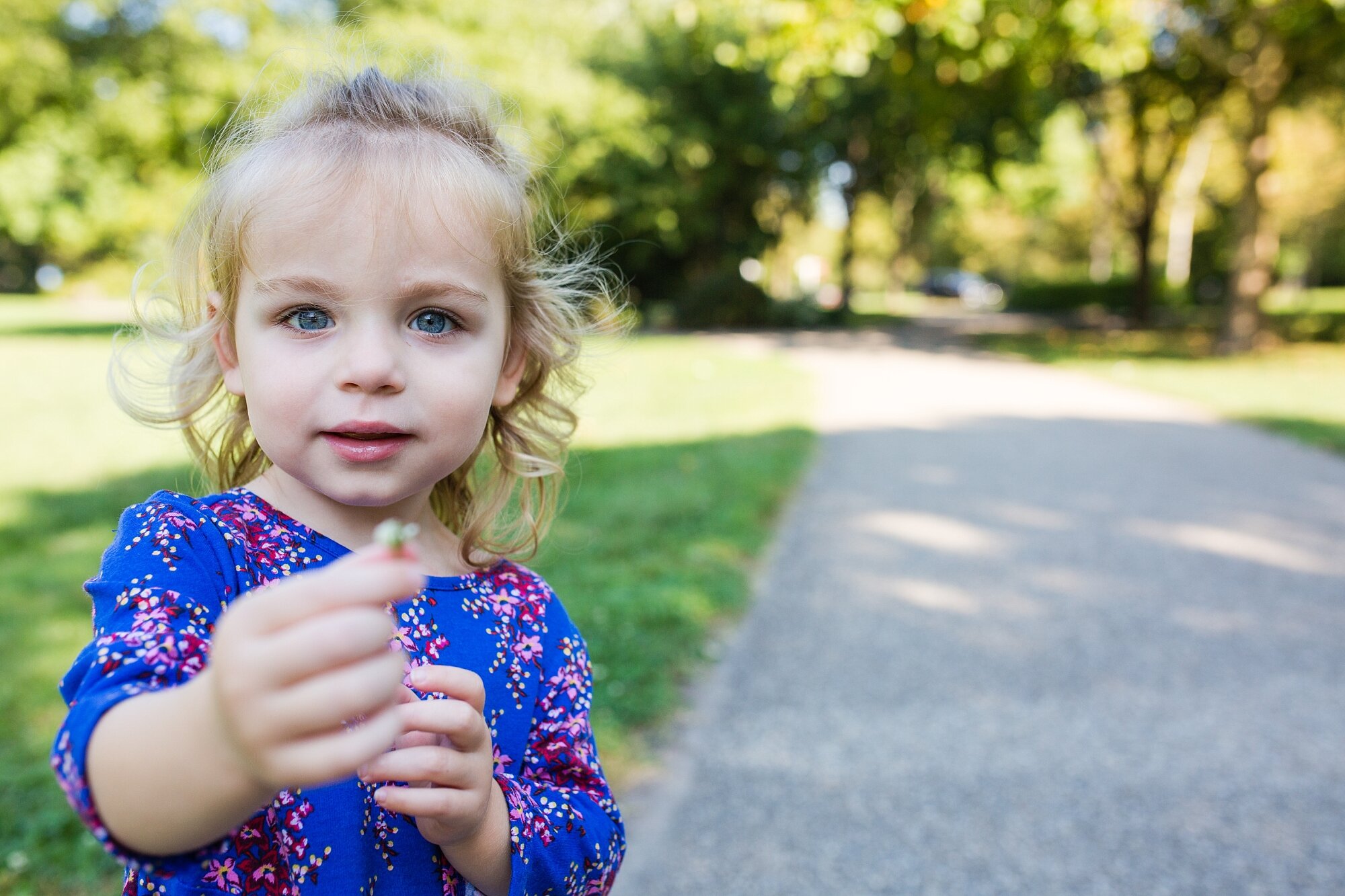 Three year old toddler girl shows you a flower she picked in the park wearing a blue flower dress, Philadelphia Family Photographer