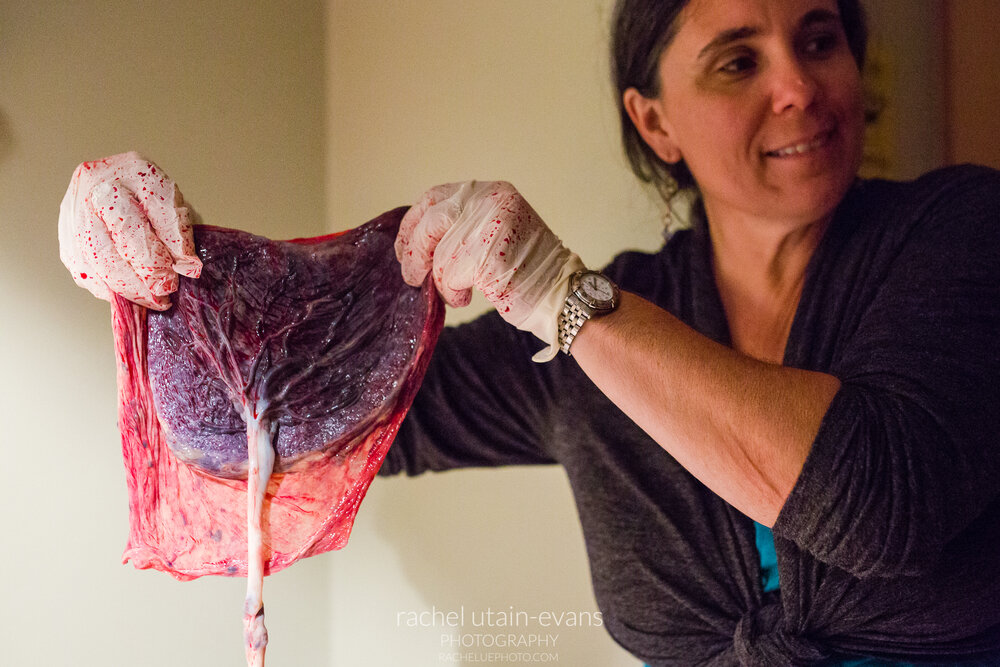 Midwife holds up placenta and cord to show mom, Philadelphia Birth Photographer
