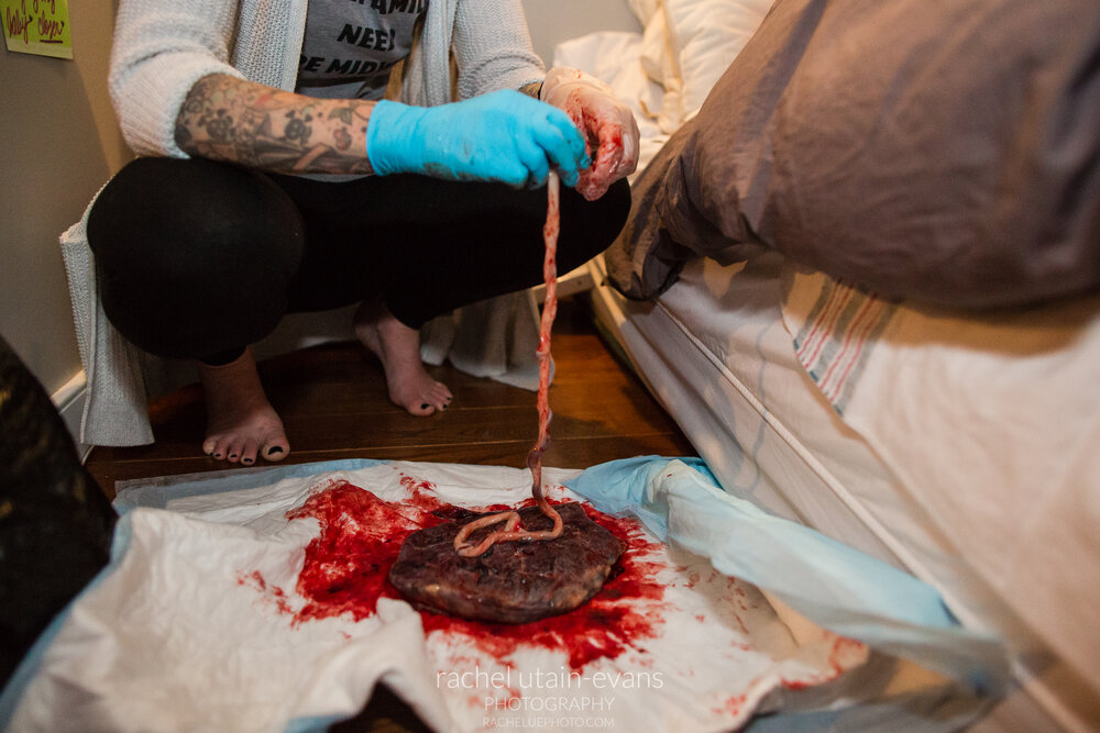 Placenta on the floor with very long umbilical cord curled above it held by midwife, Philadelphia Birth Photographer