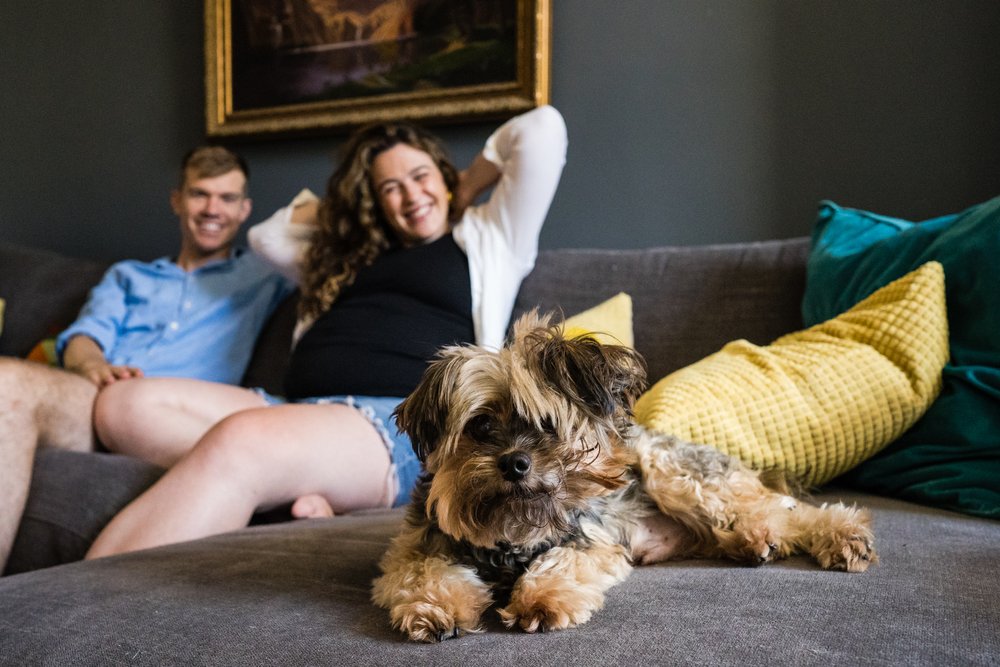 Pregnant mom and husband in background lounging on couch smiling at cute dog in front looking at camera, Philadelphia maternity photographer