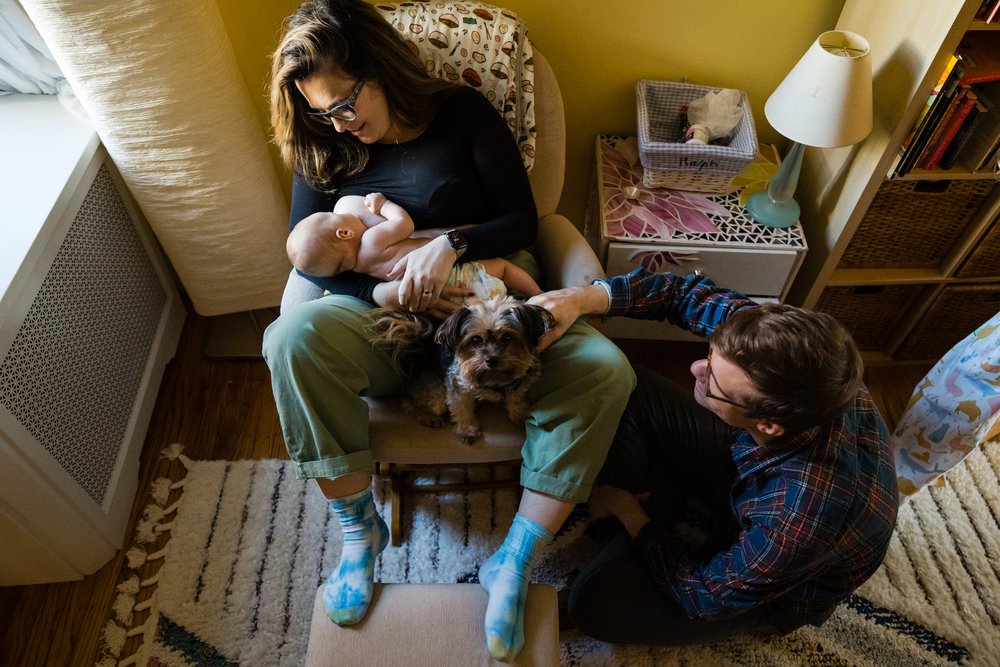 Overhead view of mom nursing baby with dog in her lap, dad sitting on floor next to them, Philadelphia documentary newborn photography