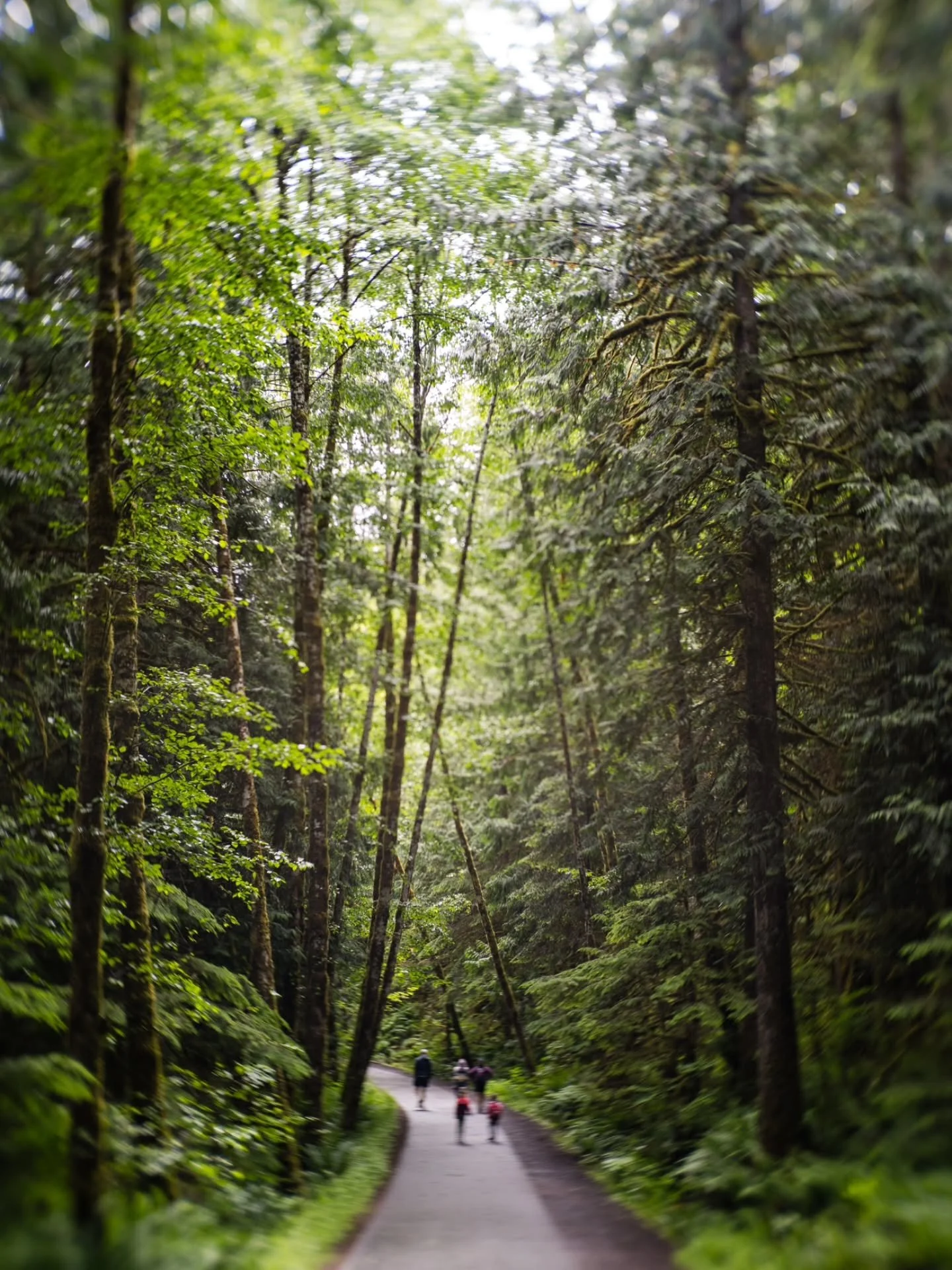 Have you read the poem "first they came" lately? Because we're living in it, and none of us knows which line will have us next. 

This is not about politics. This is about whether or not you believe that any human next to you deserves to be