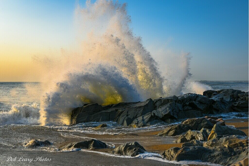 last summer at bluefish cove last summer at bluefish cove